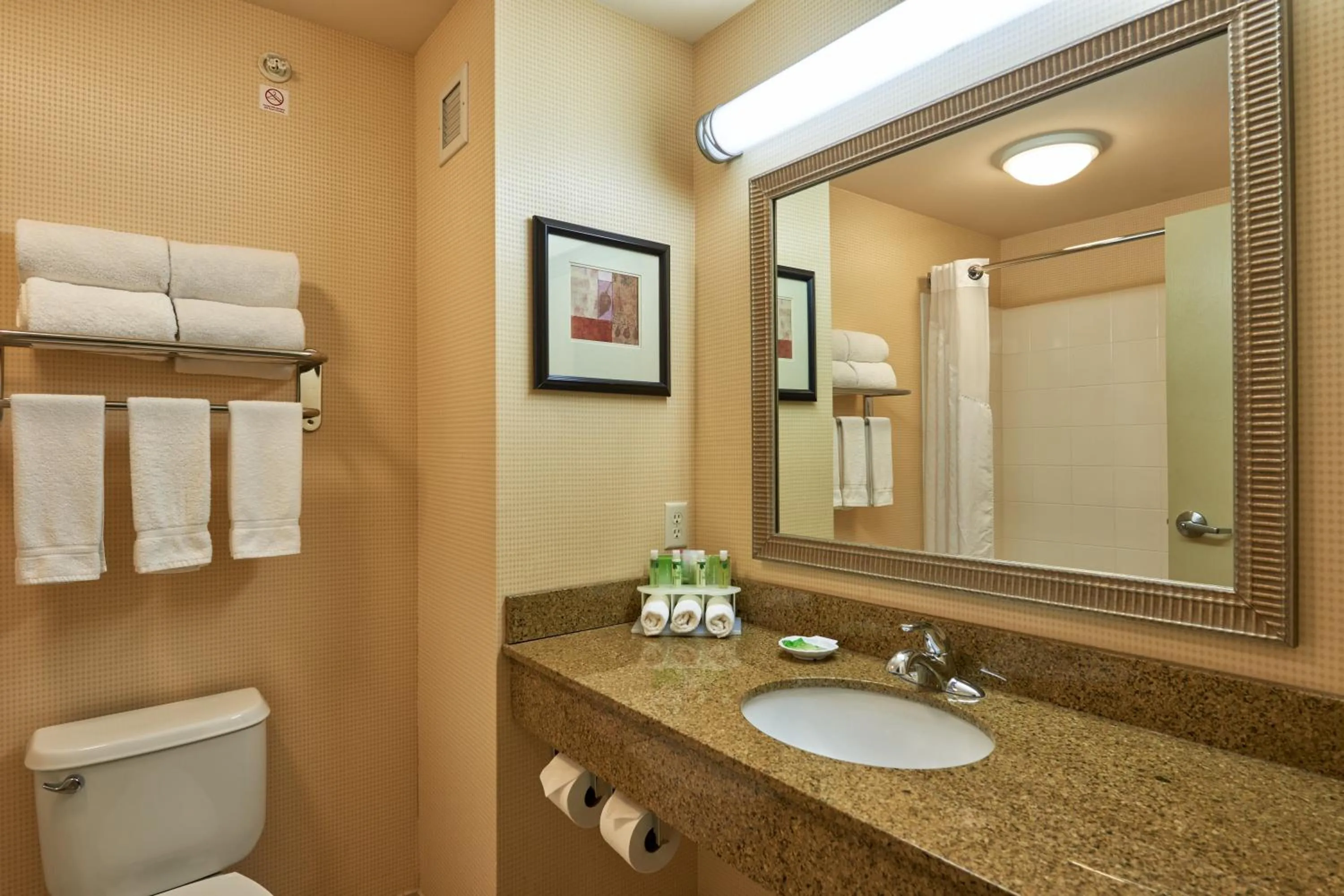 Bathroom in Holiday Inn Express & Suites El Paso Airport by IHG