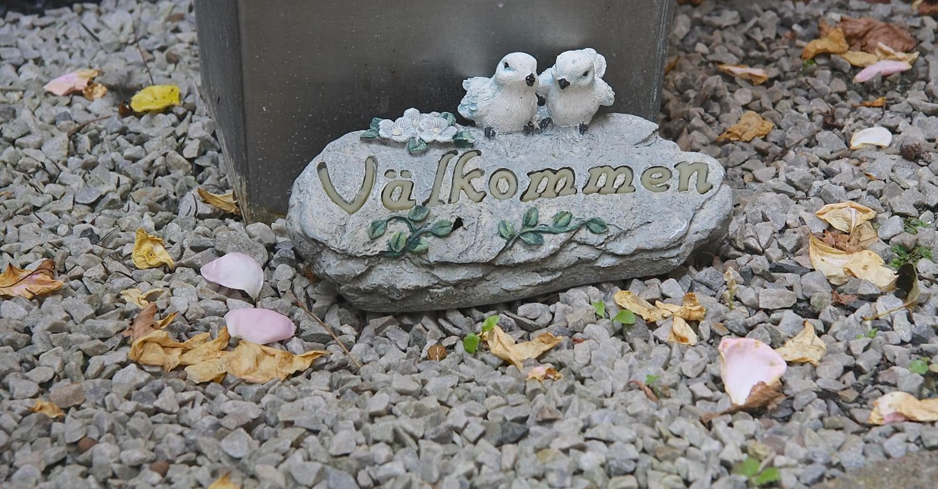 Garden in Hotell Oskar