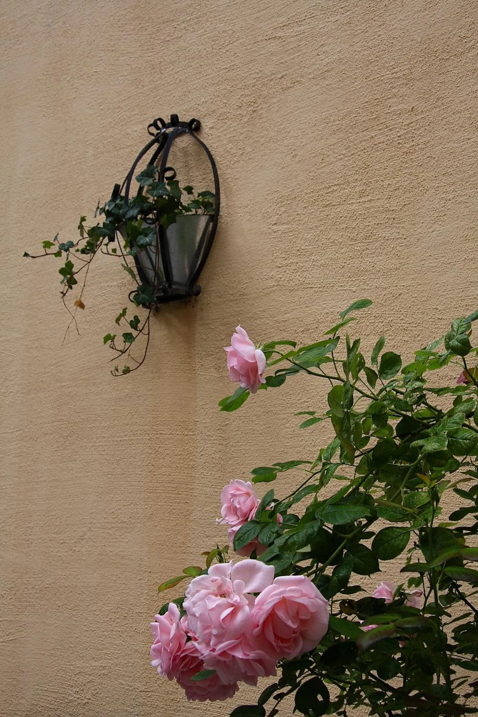 Garden in Hotell Oskar