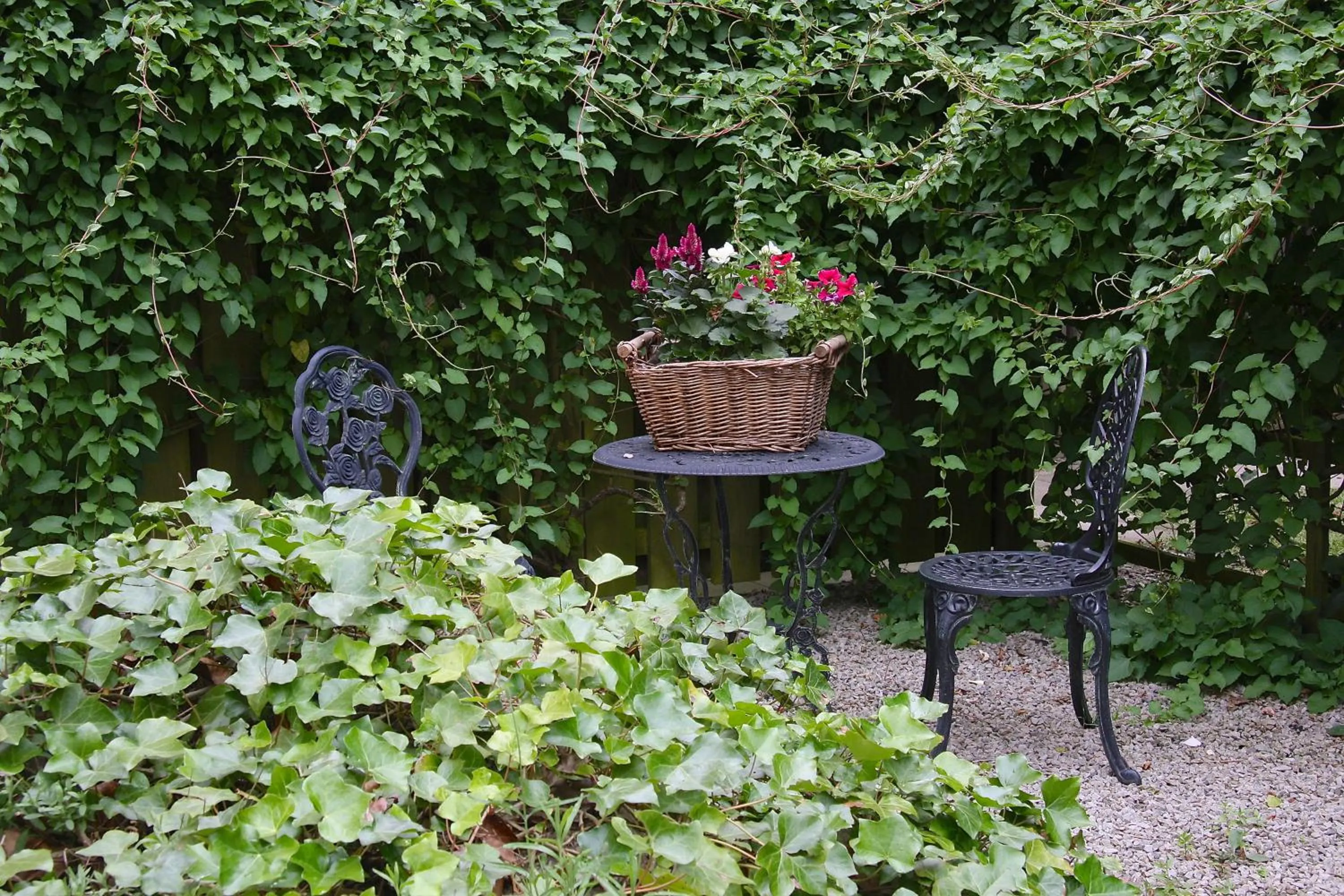 Garden in Hotell Oskar