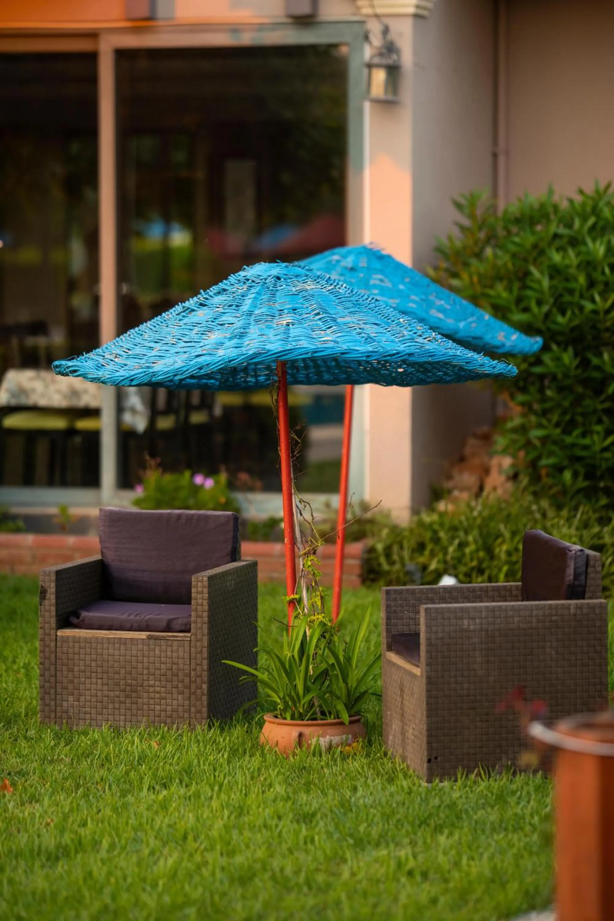 Garden in Golden Moon Hotel