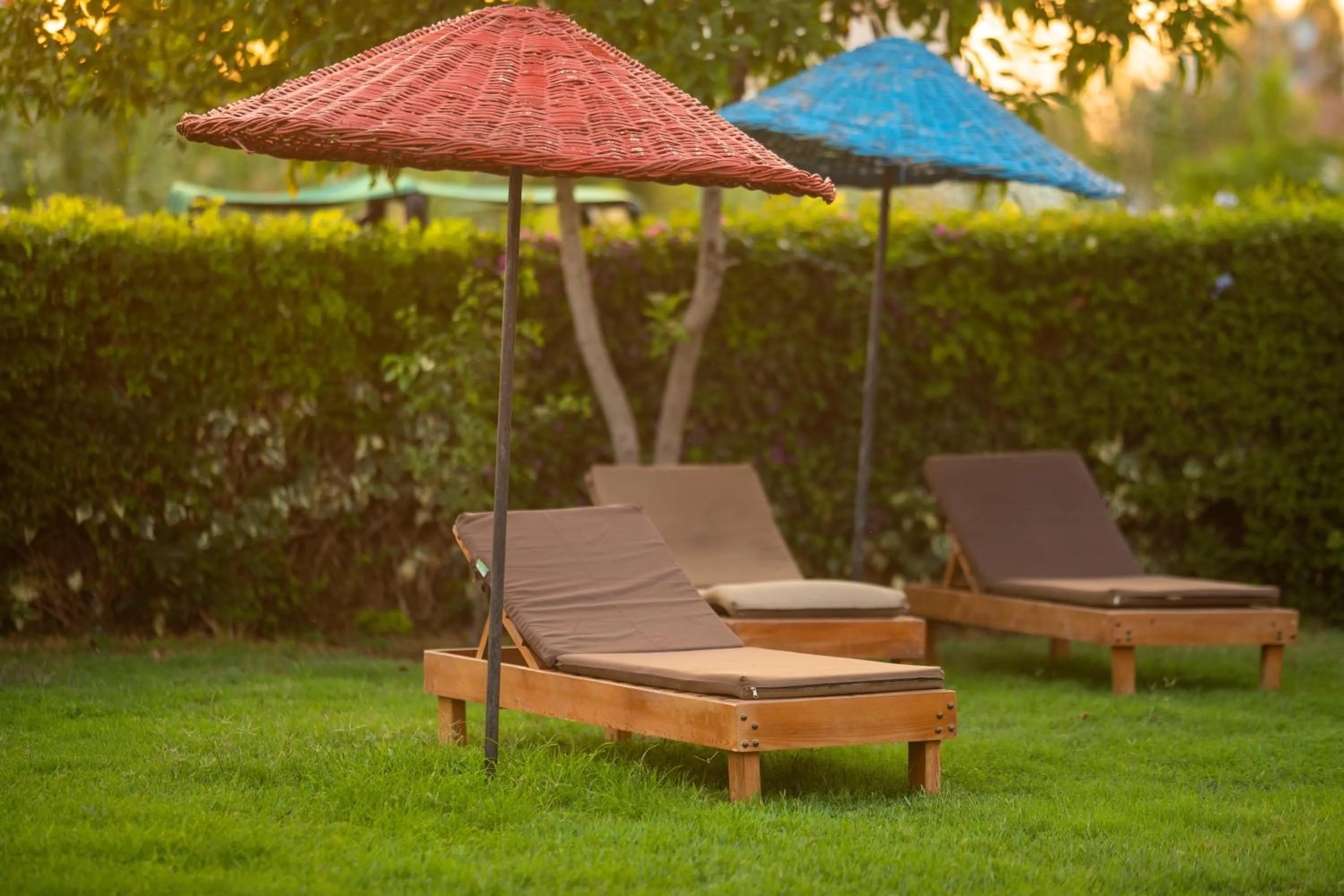 Garden in Golden Moon Hotel