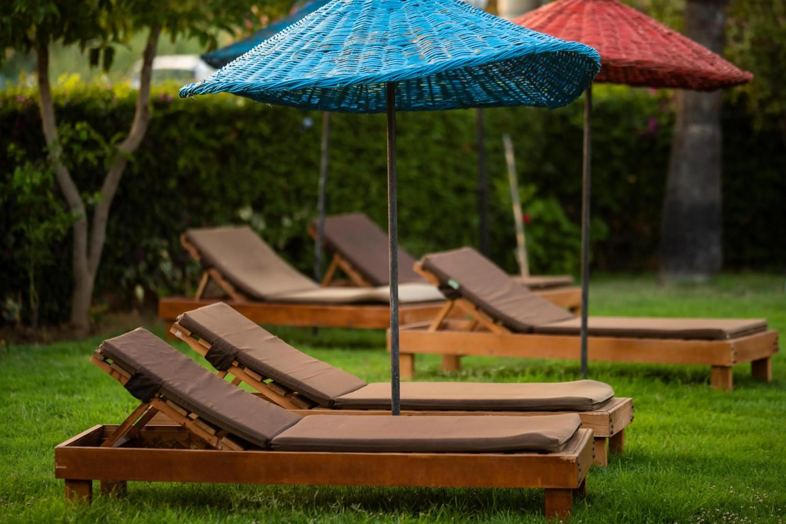 Garden in Golden Moon Hotel