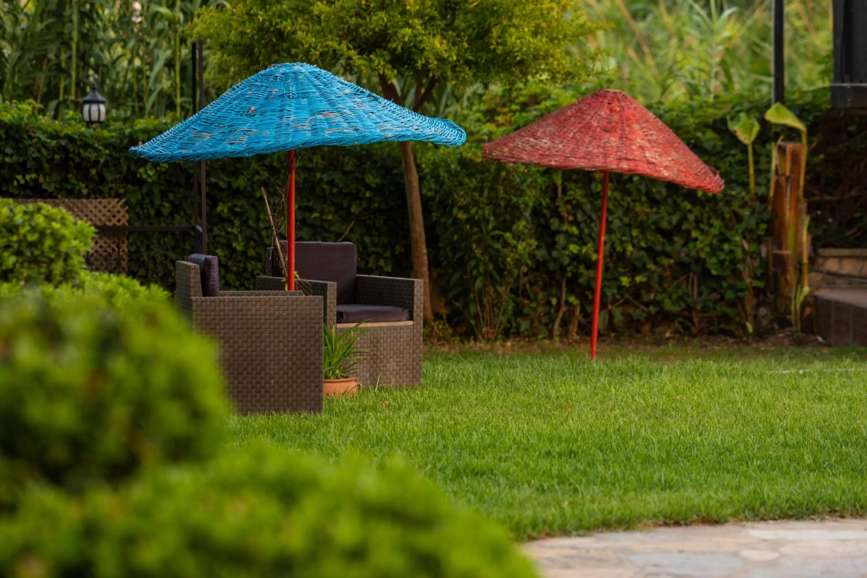 Garden in Golden Moon Hotel