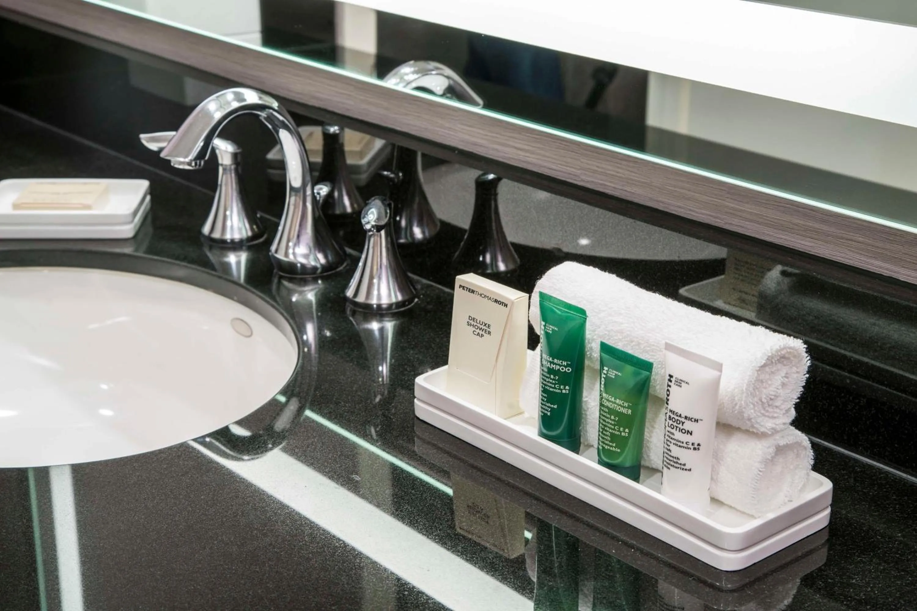 Bathroom in Hilton Washington DC/Rockville Hotel & Executive Meeting Center