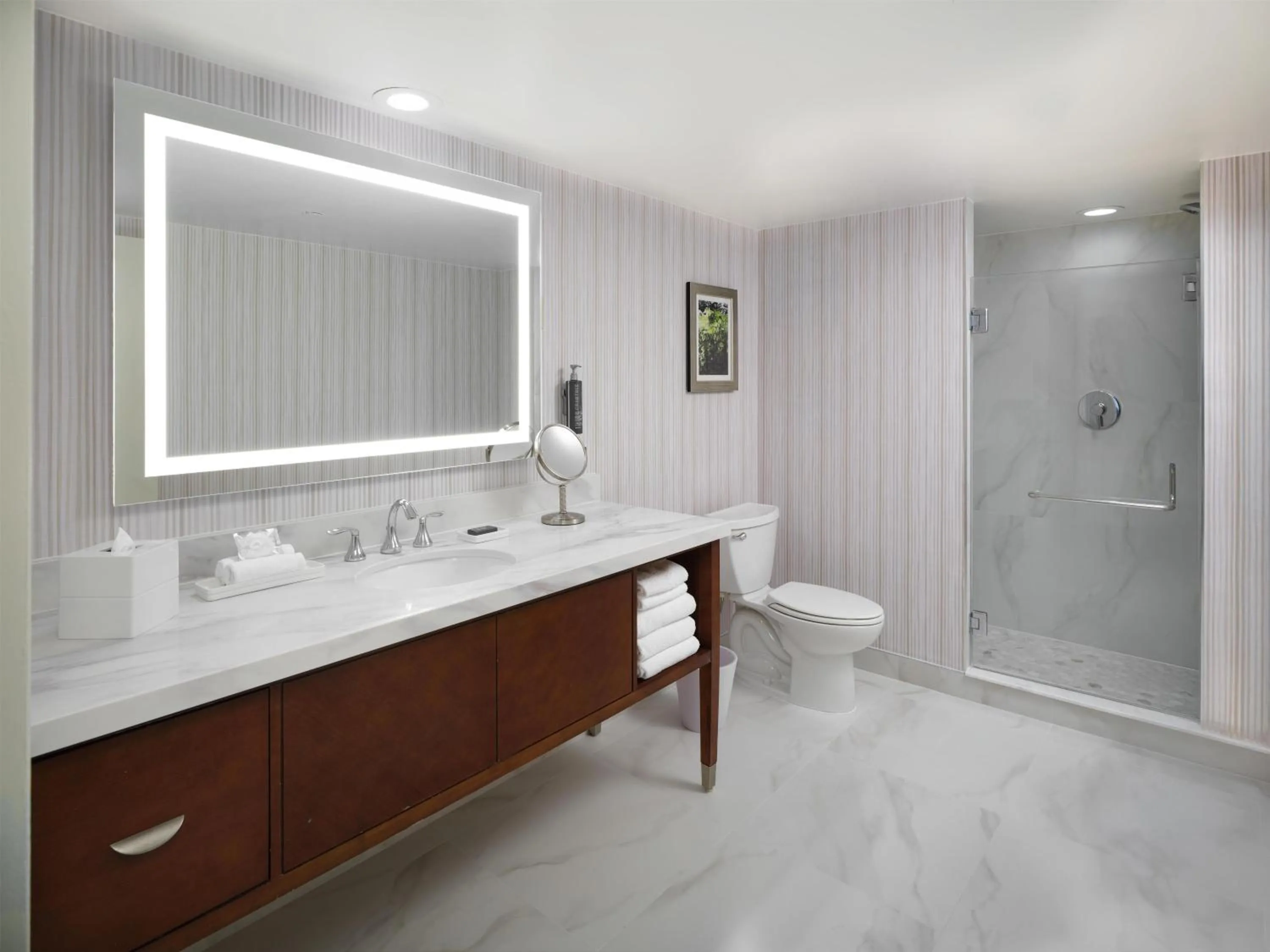 Bathroom in Hilton Washington DC/Rockville Hotel & Executive Meeting Center