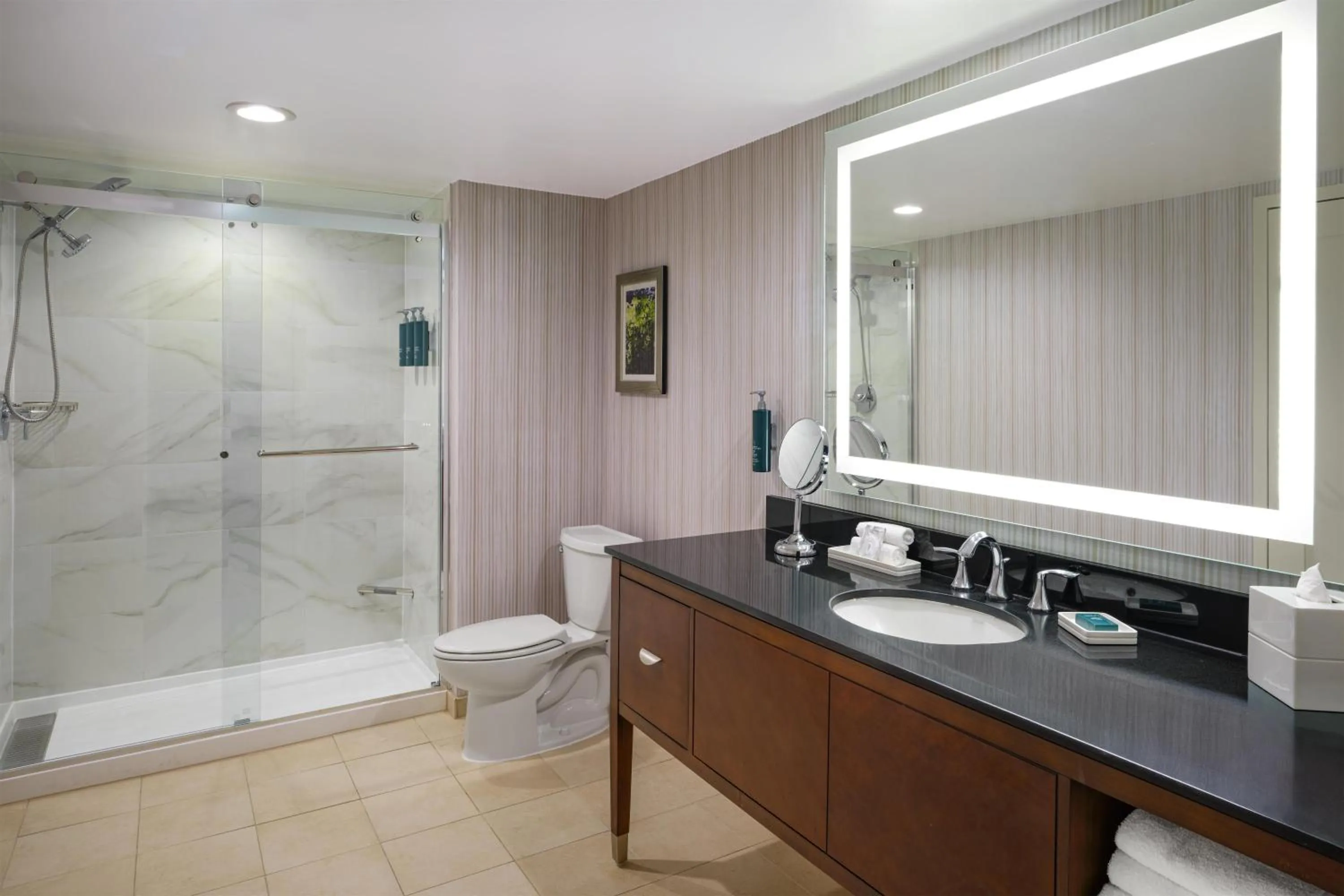 Bathroom in Hilton Washington DC/Rockville Hotel & Executive Meeting Center