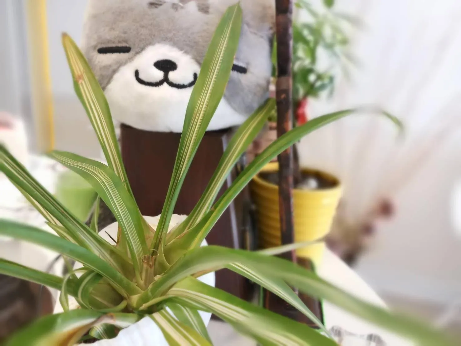 Decorative detail in Town Stay