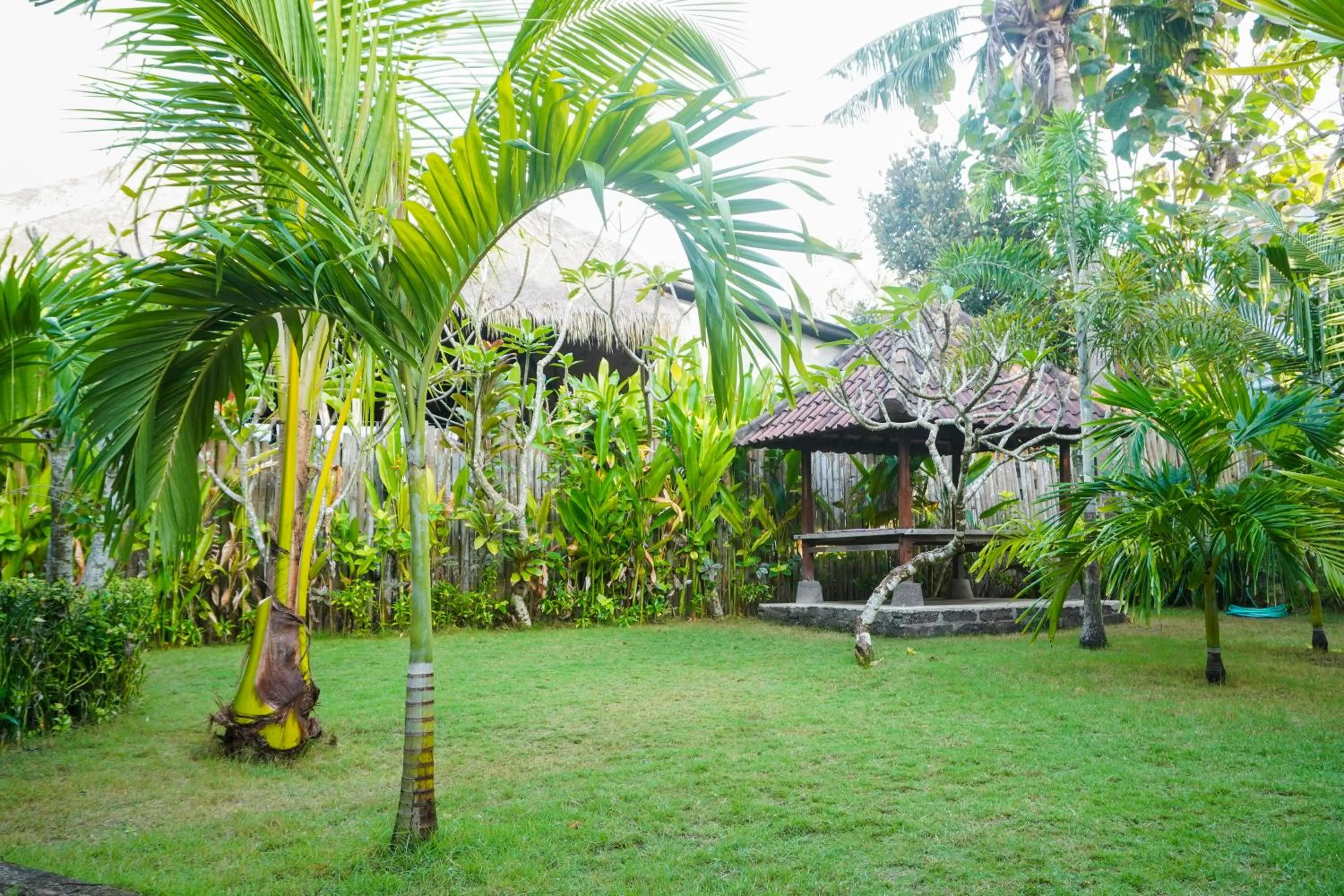 Garden in Pemuntalan Guesthouse