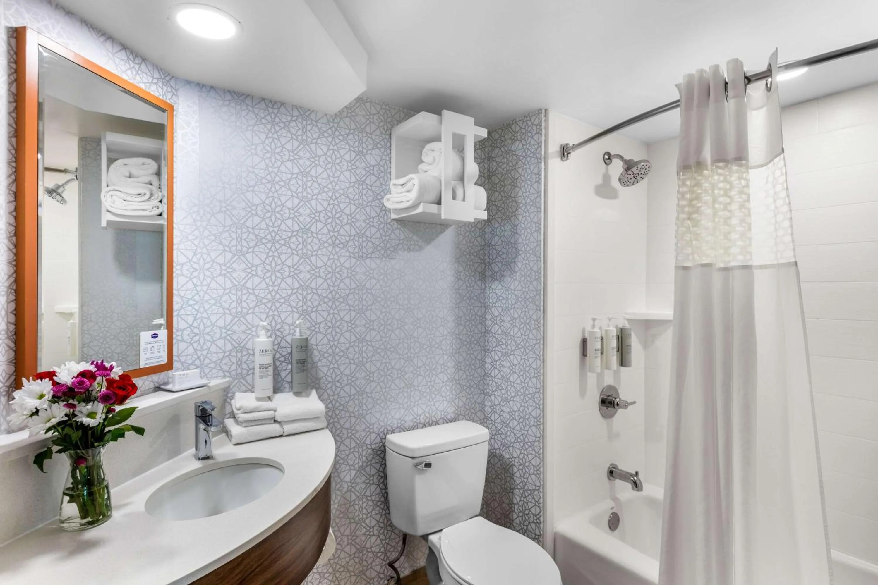 Shower in Hampton Inn Knoxville-Airport