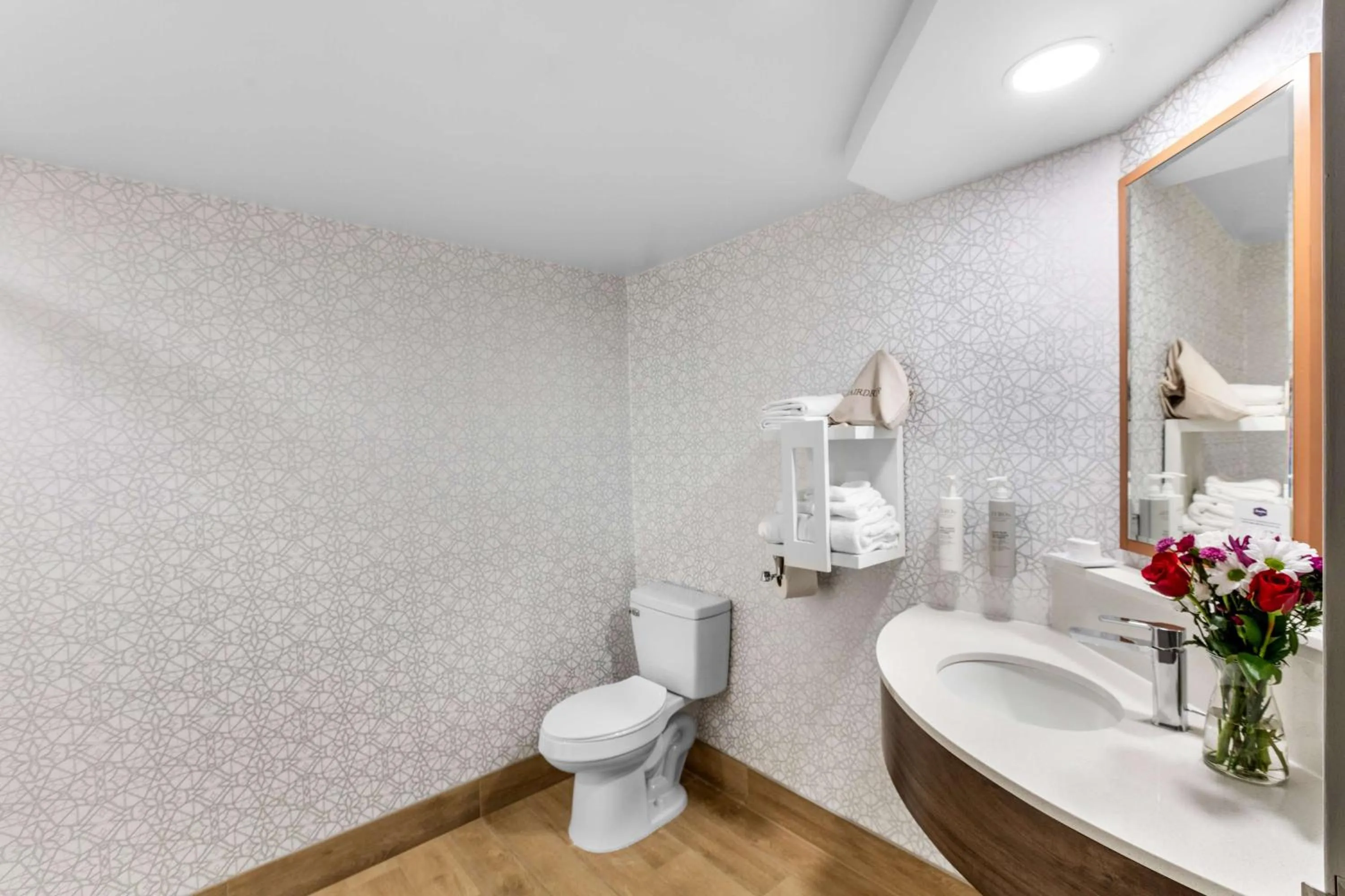 Bathroom in Hampton Inn Knoxville-Airport