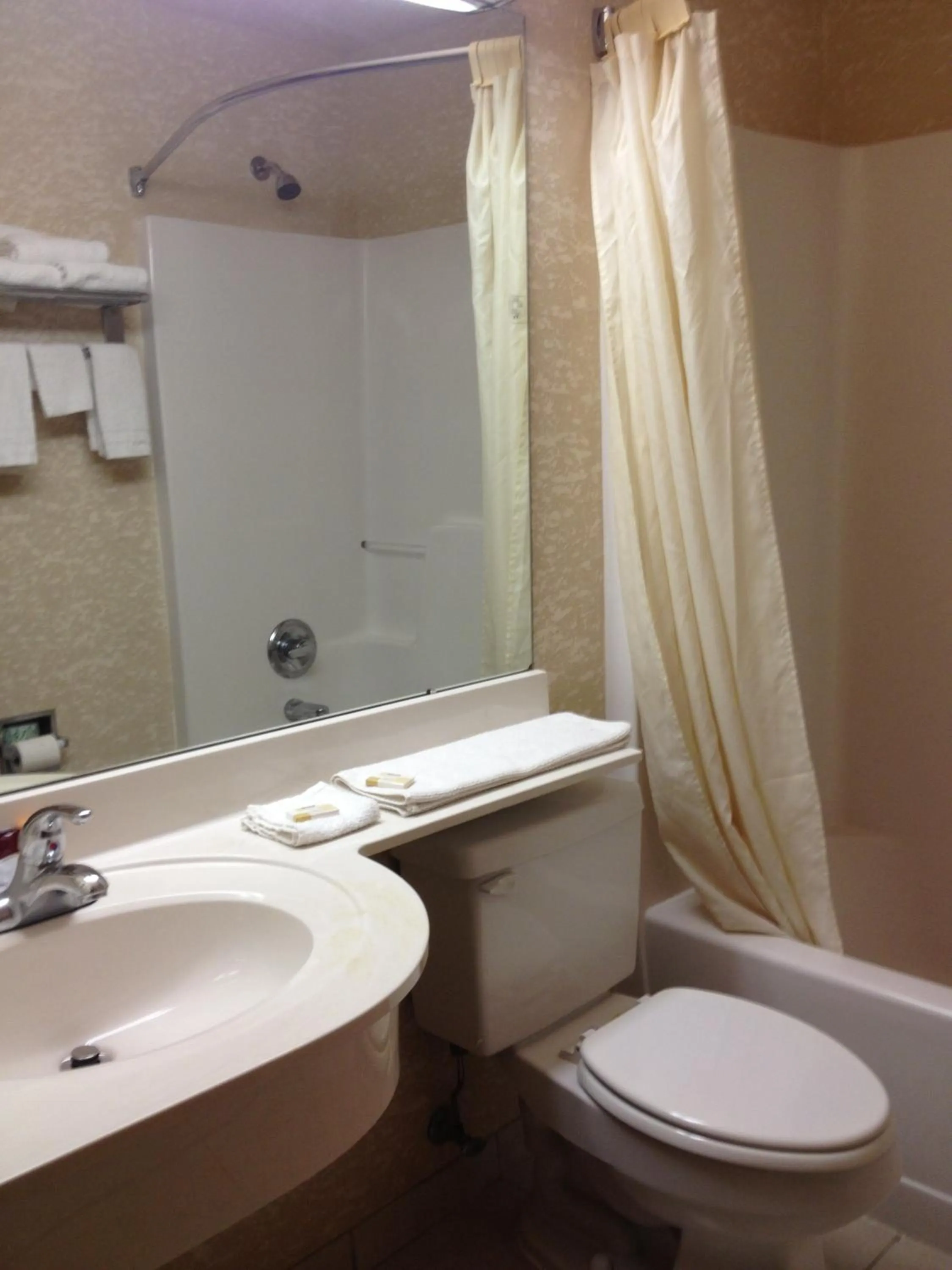 Bathroom in Microtel Inn & Suites by Wyndham Lithonia/Stone Mountain