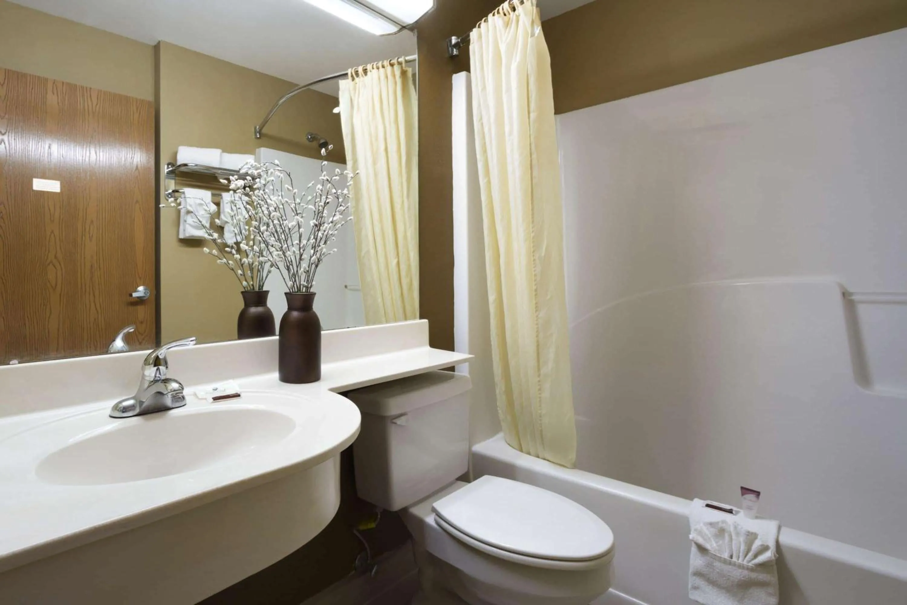 Bathroom in Microtel Inn & Suites by Wyndham Lithonia/Stone Mountain