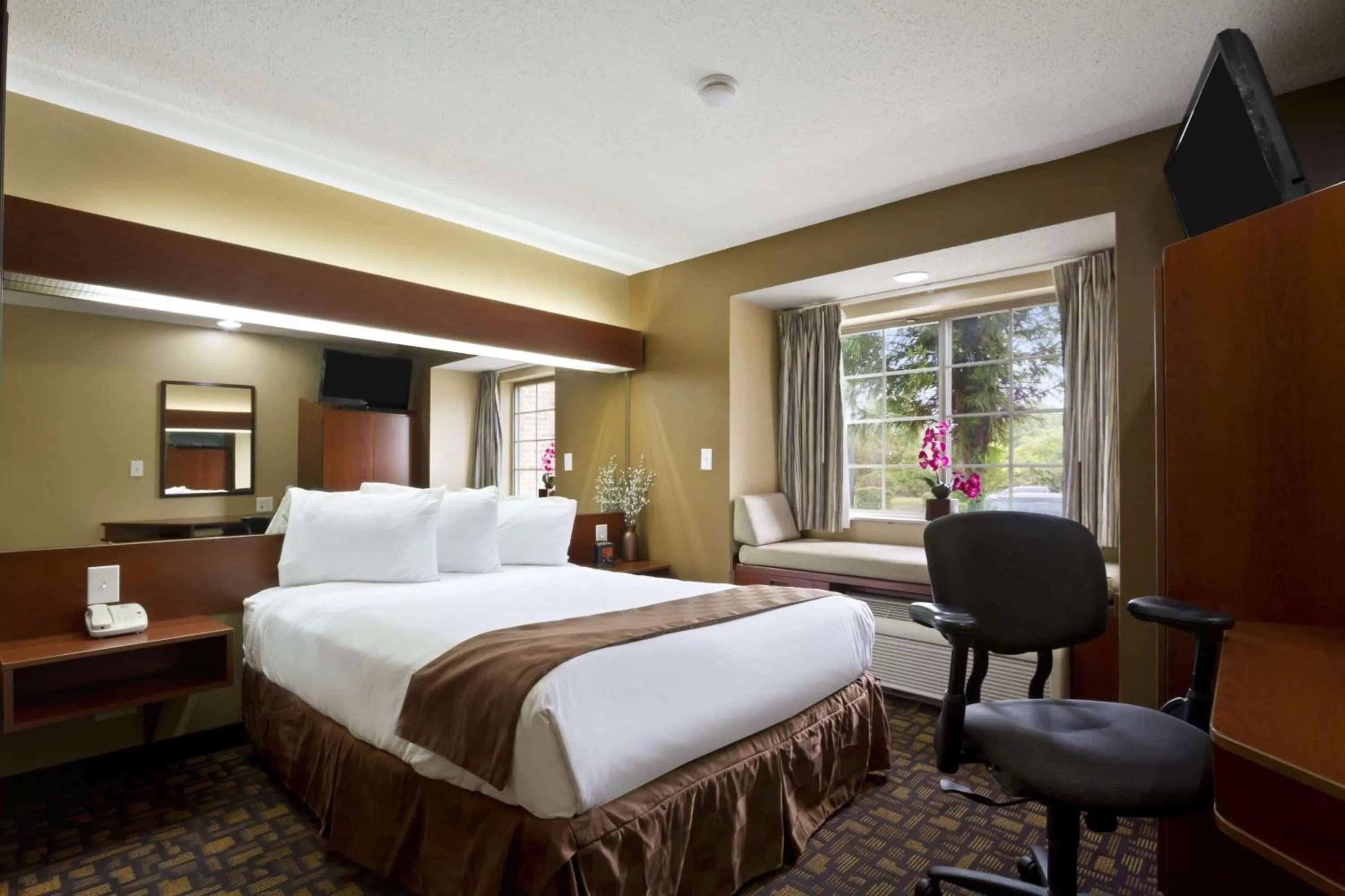 Photo of the whole room, Bed in Microtel Inn & Suites by Wyndham Lithonia/Stone Mountain