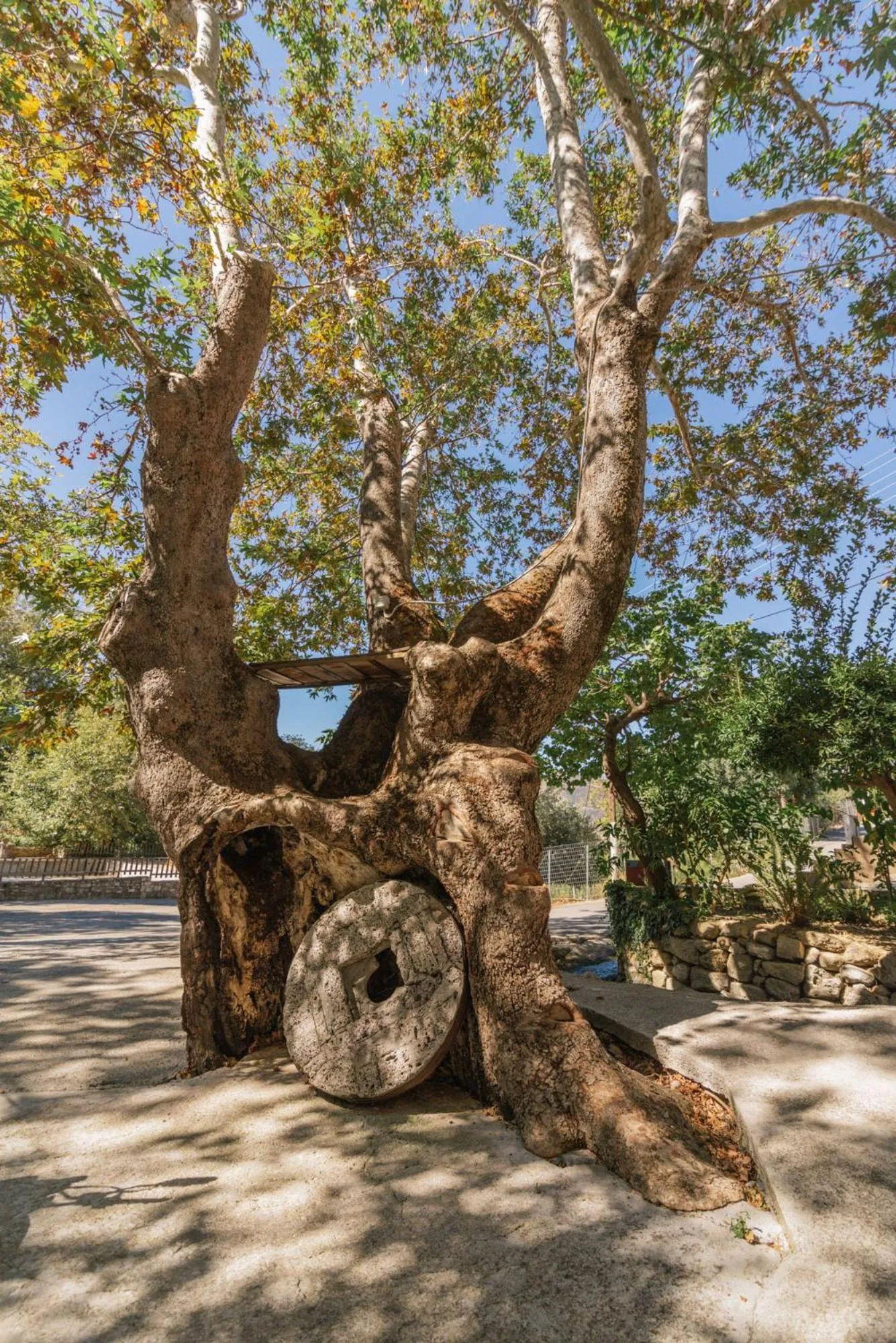 Natural landscape in Idi Hotel