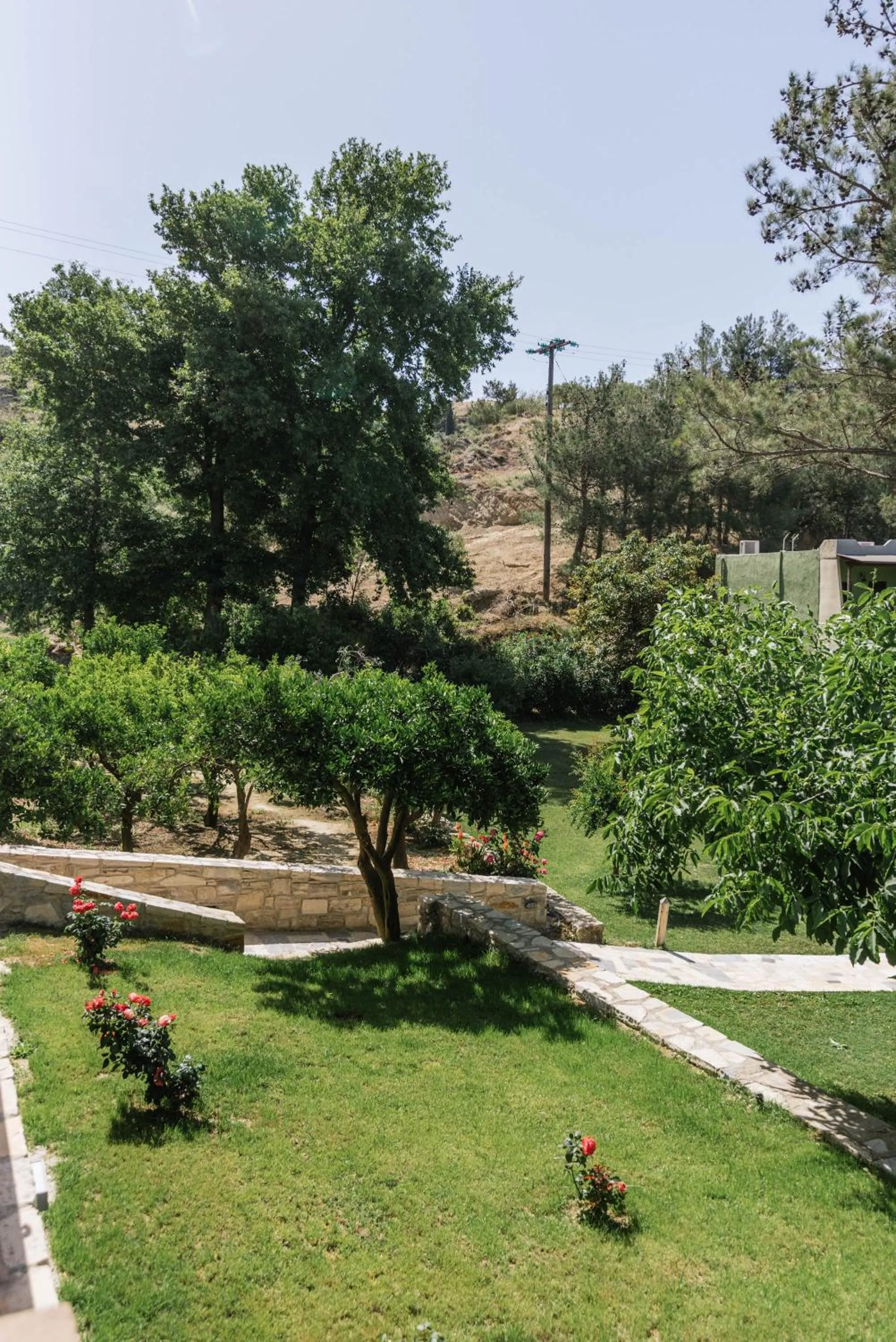 Garden view in Idi Hotel