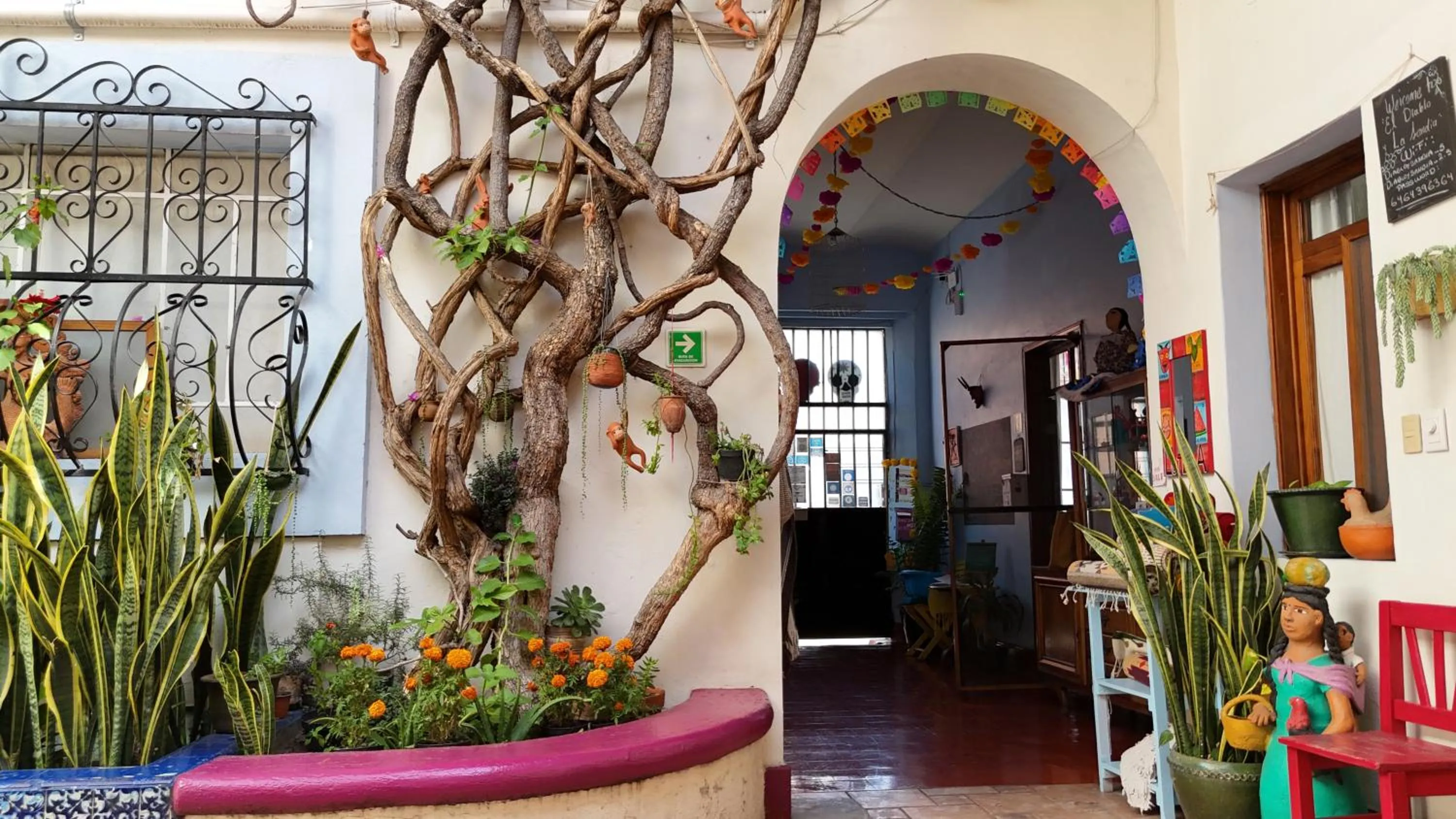 El Diablo y la Sandia B&B