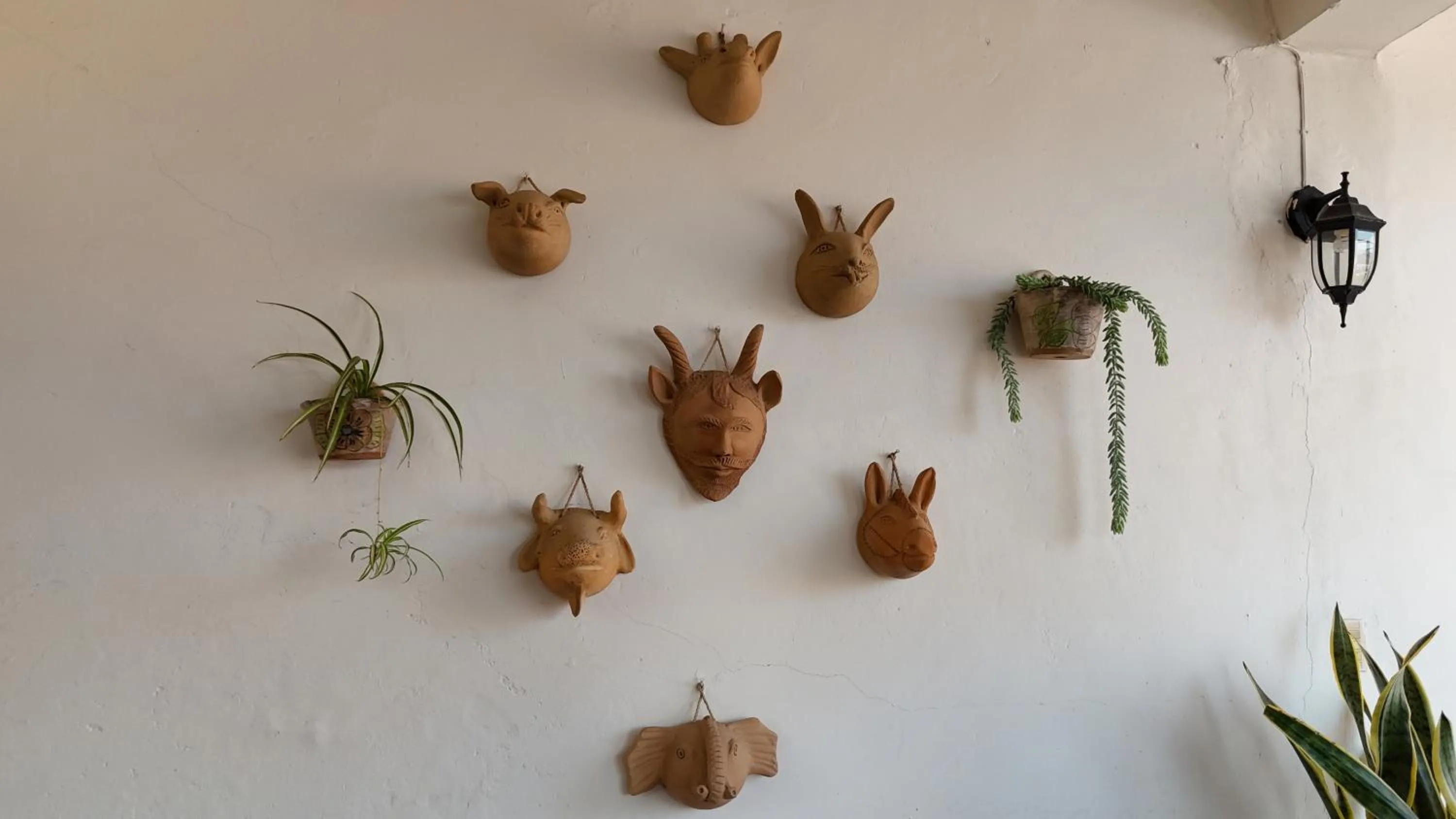 El Diablo y la Sandia B&B