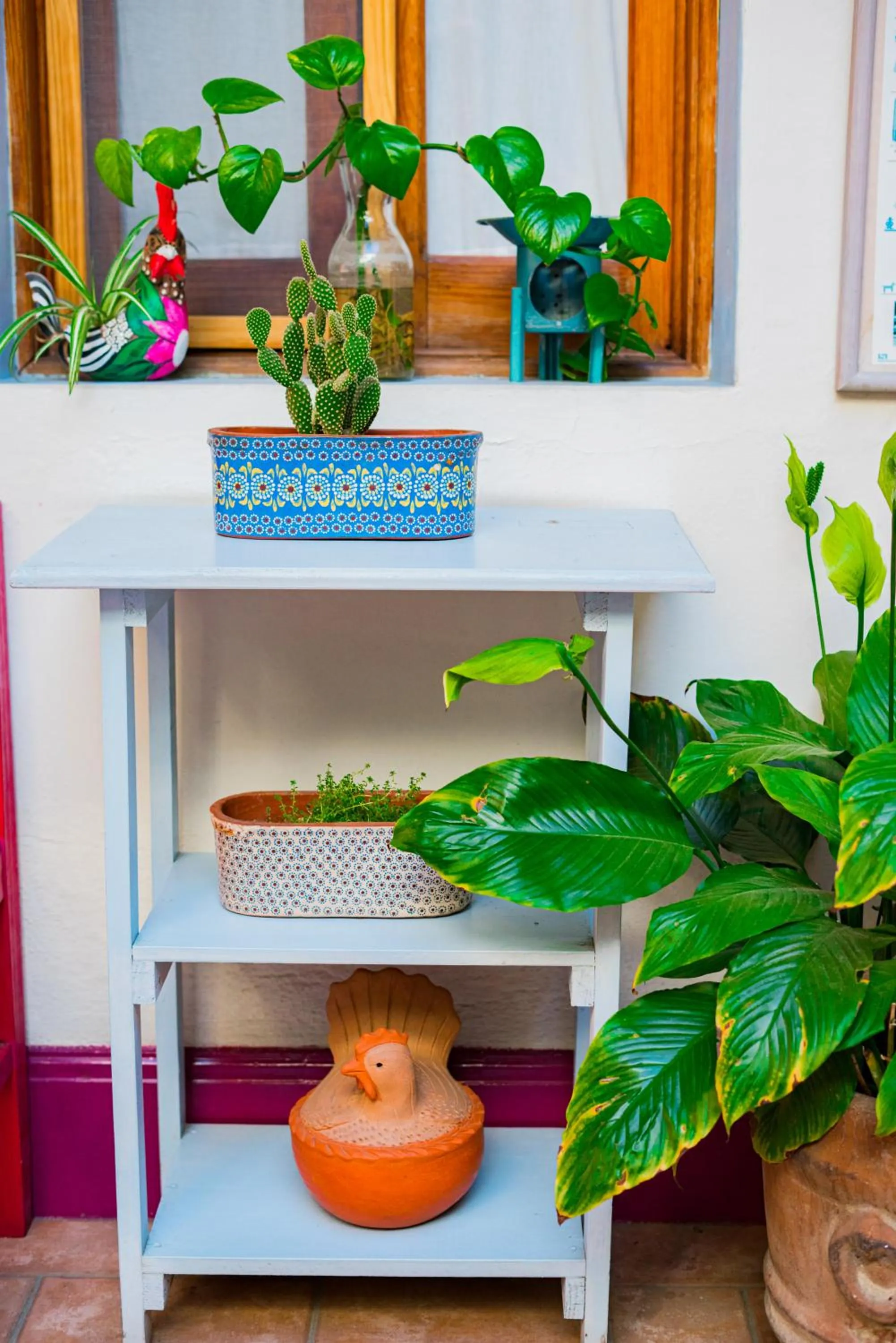 El Diablo y la Sandia B&B