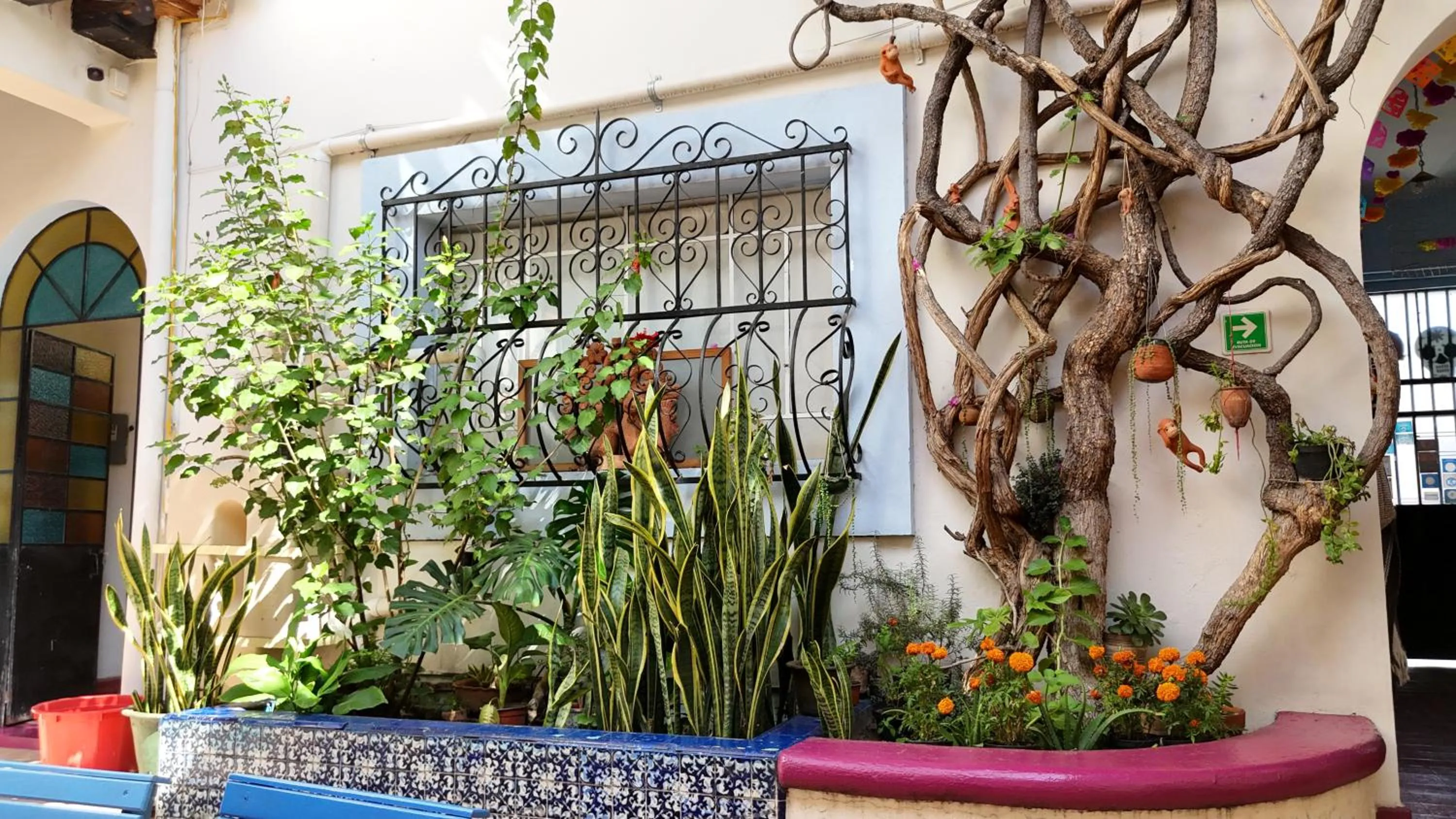 El Diablo y la Sandia B&B