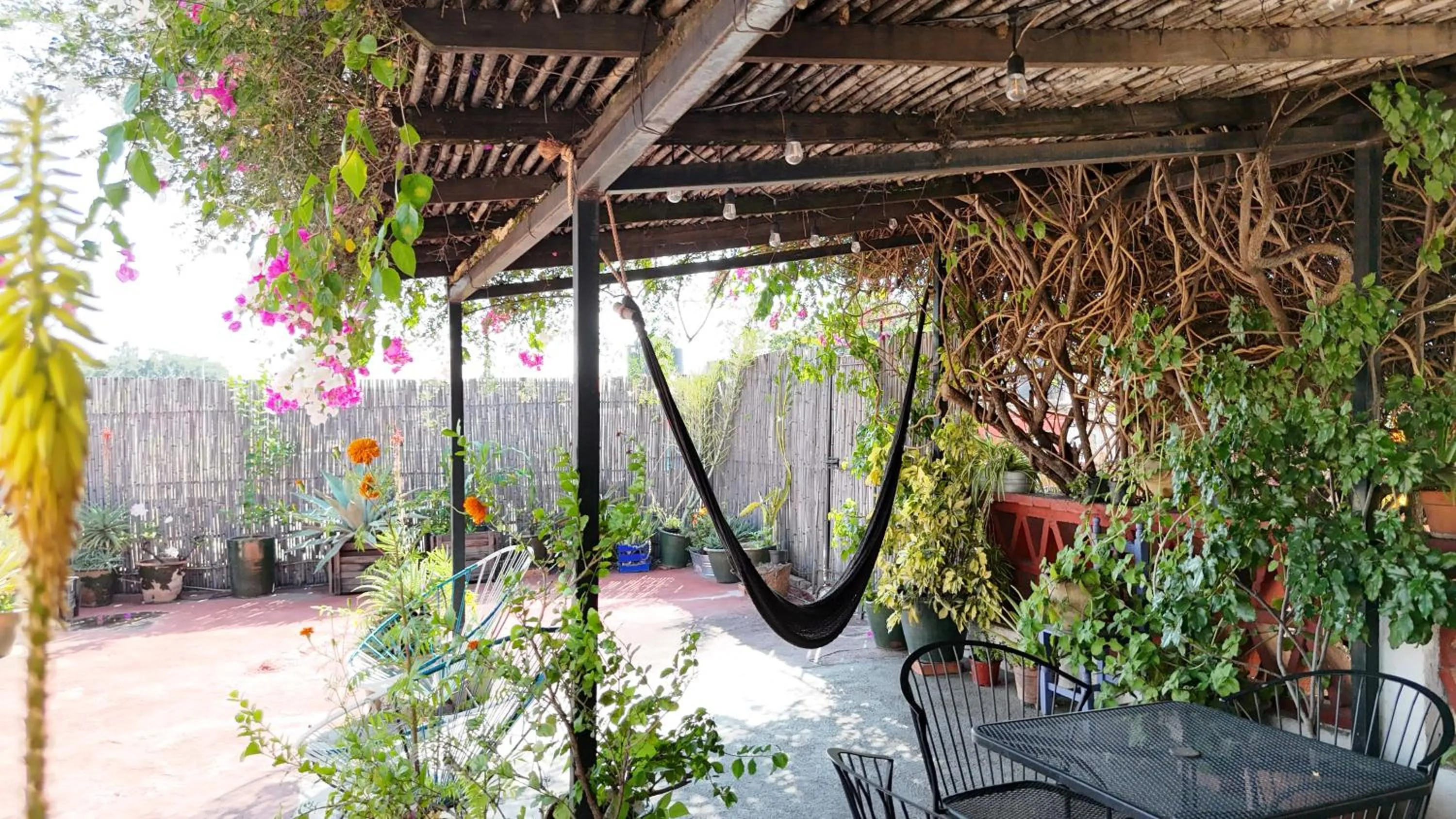 El Diablo y la Sandia B&B