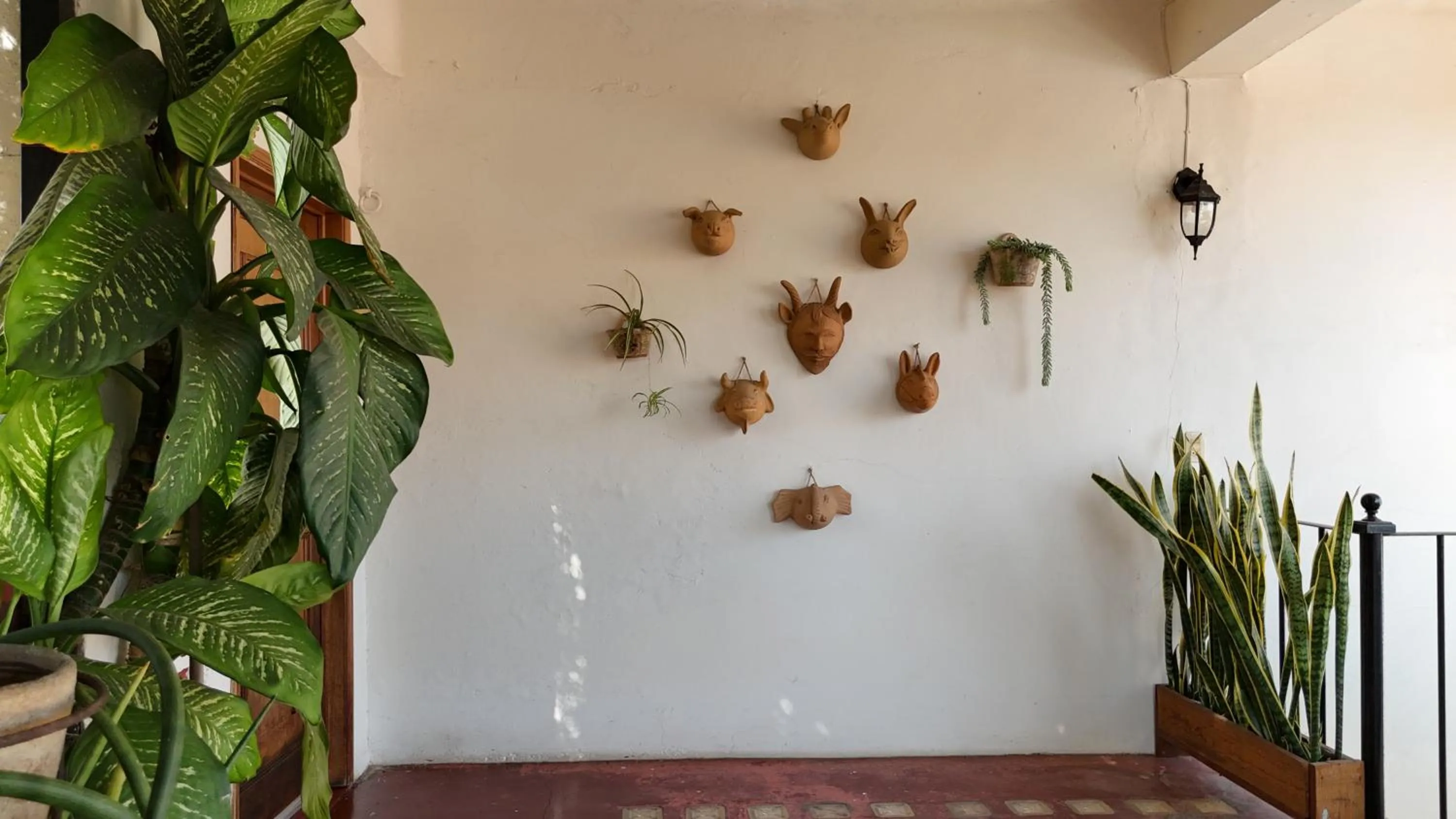 El Diablo y la Sandia B&B