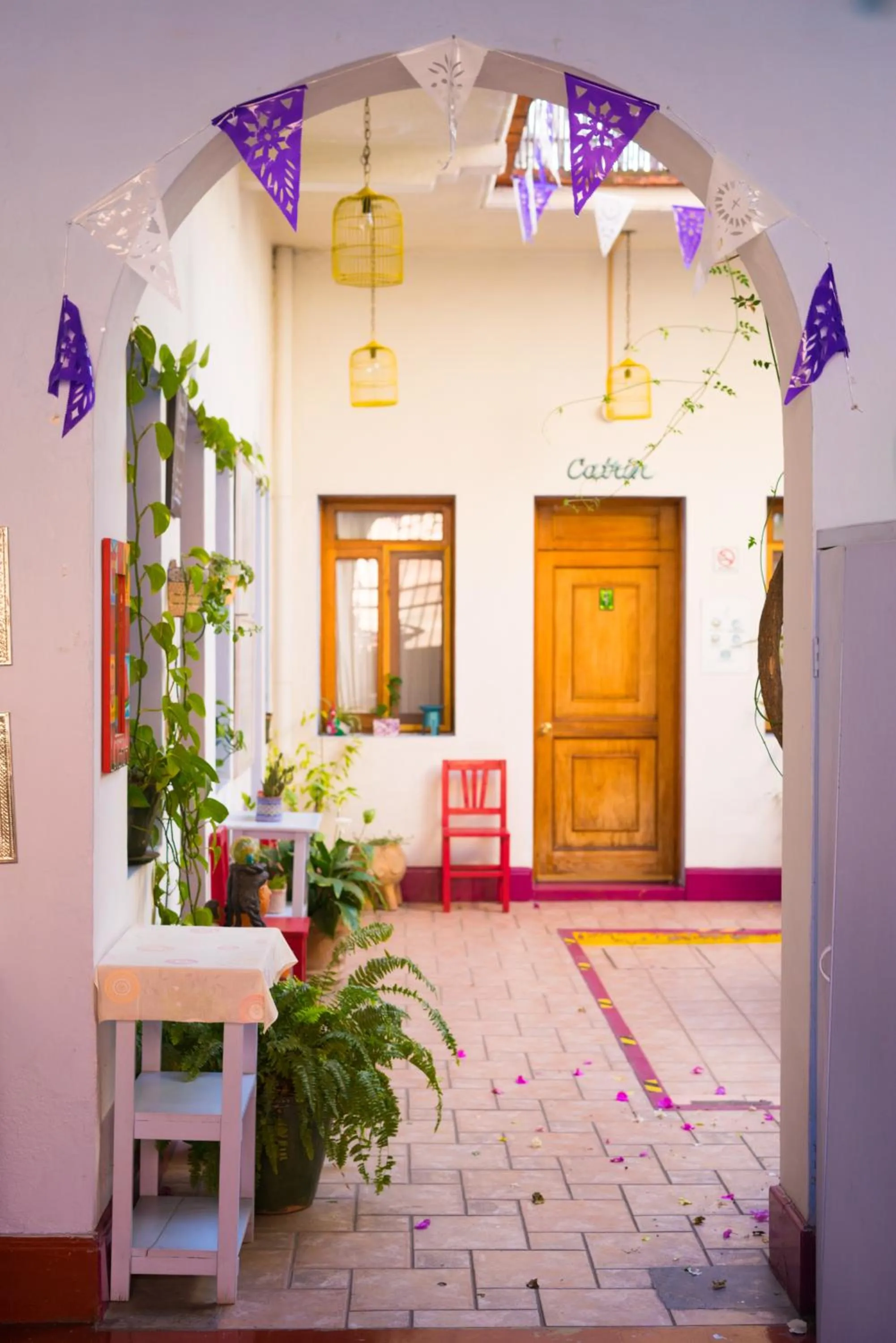 El Diablo y la Sandia B&B