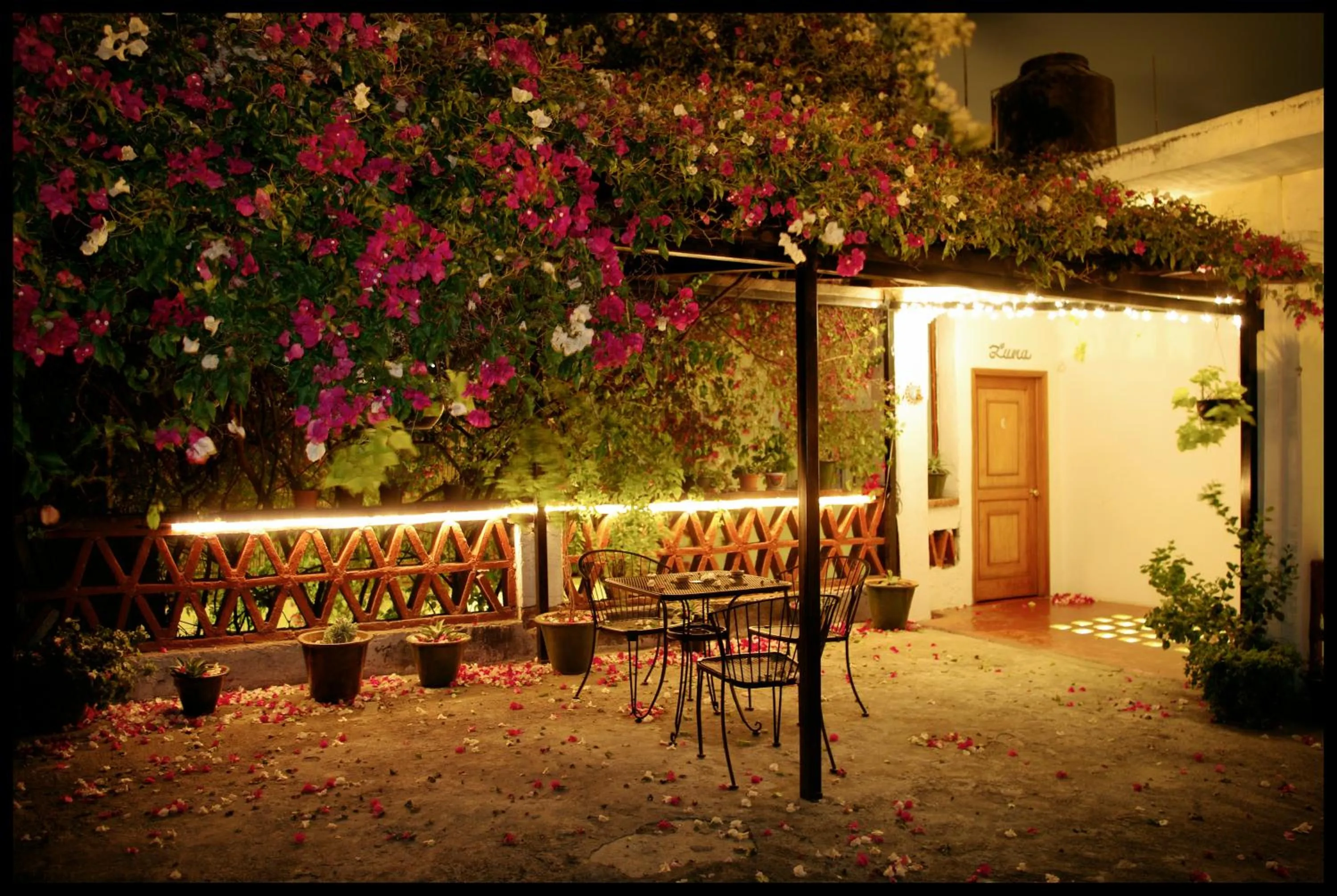 El Diablo y la Sandia B&B