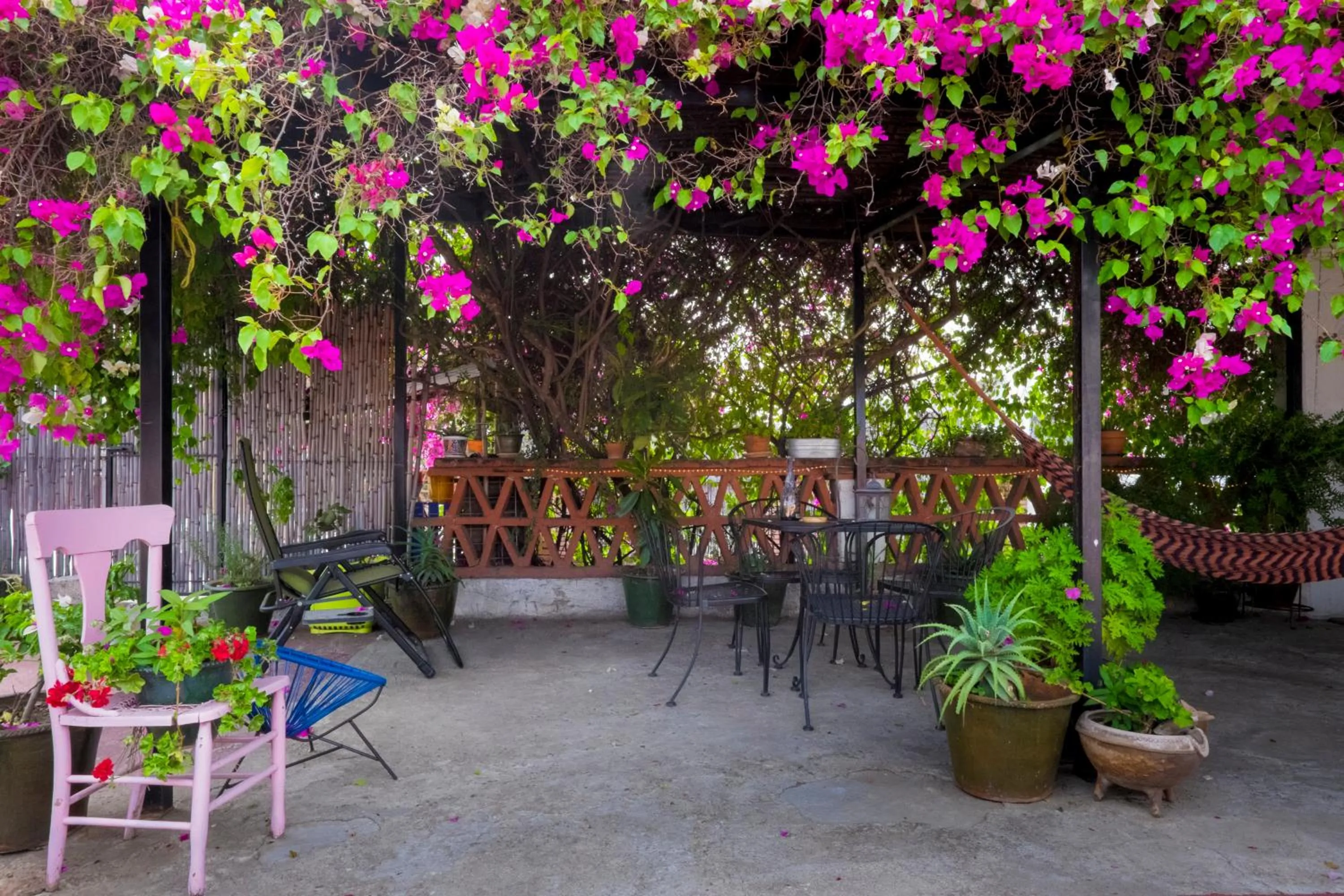 El Diablo y la Sandia B&B