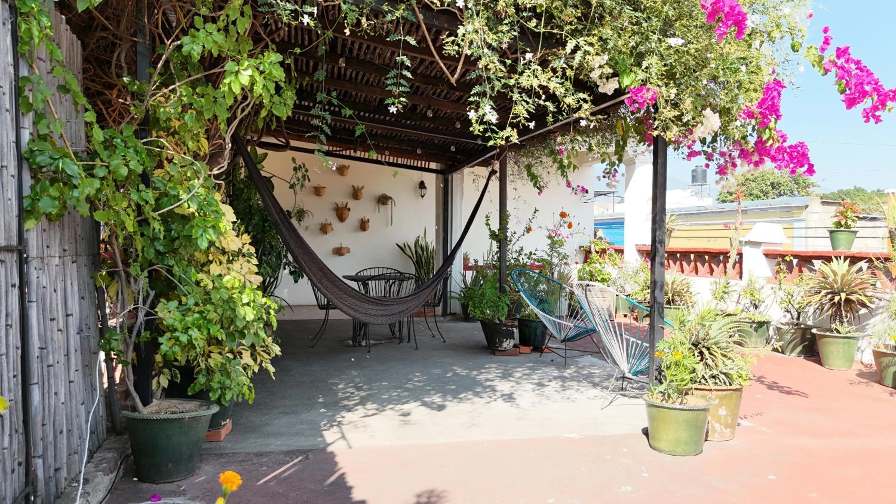 El Diablo y la Sandia B&B