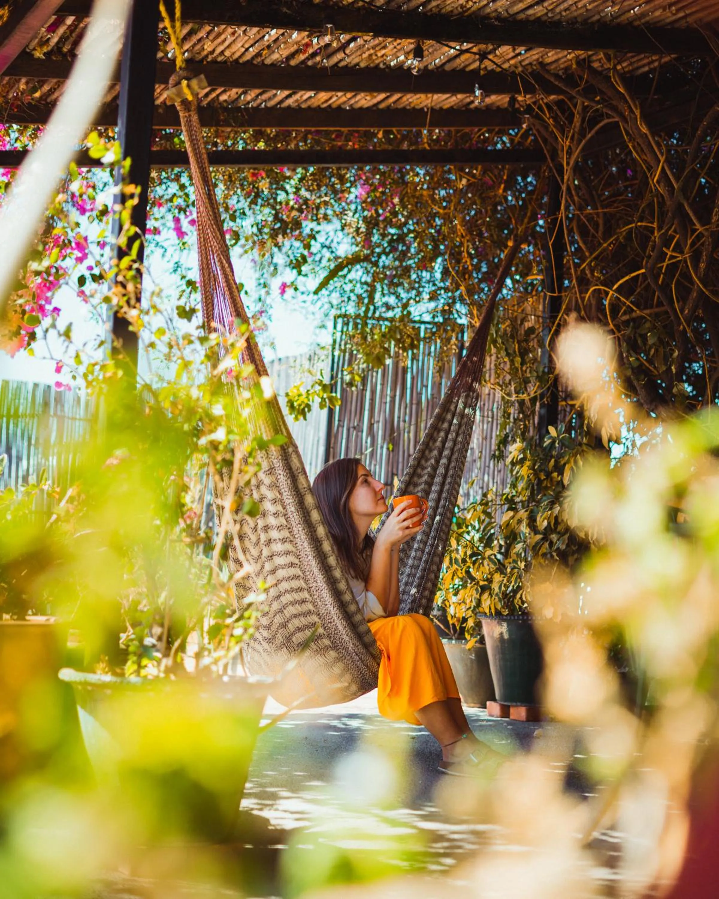 El Diablo y la Sandia B&B