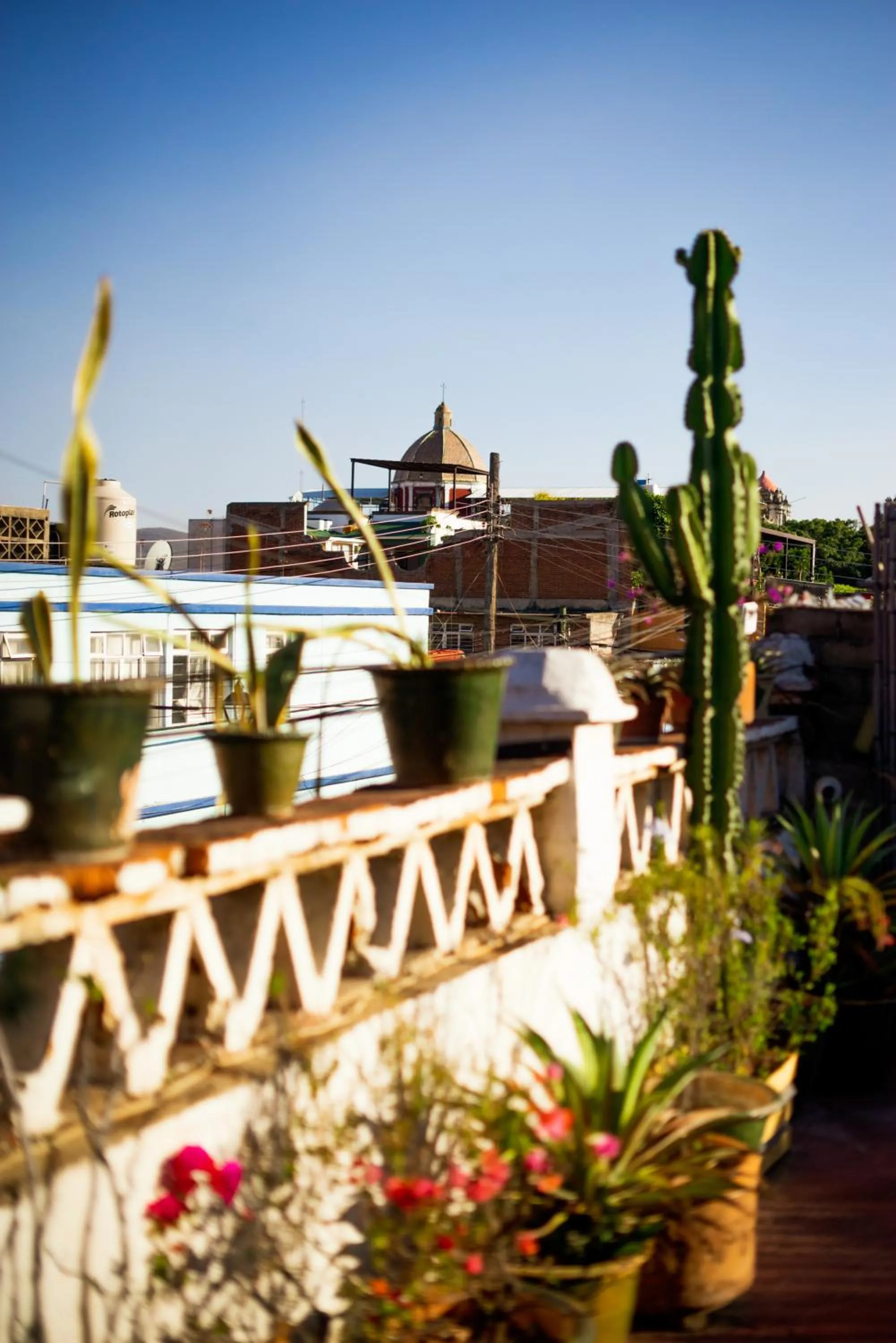 El Diablo y la Sandia B&B