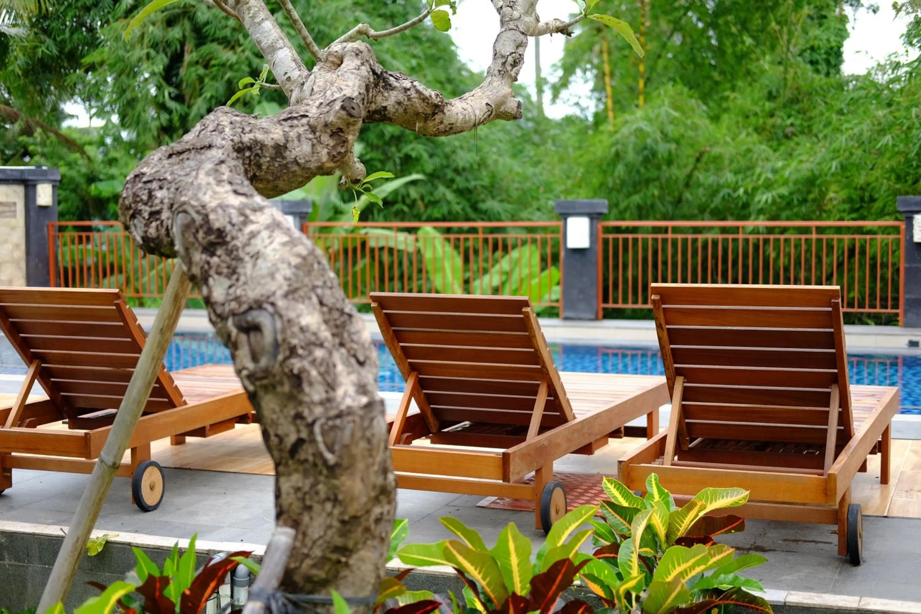 Day in Sari Villa Ubud