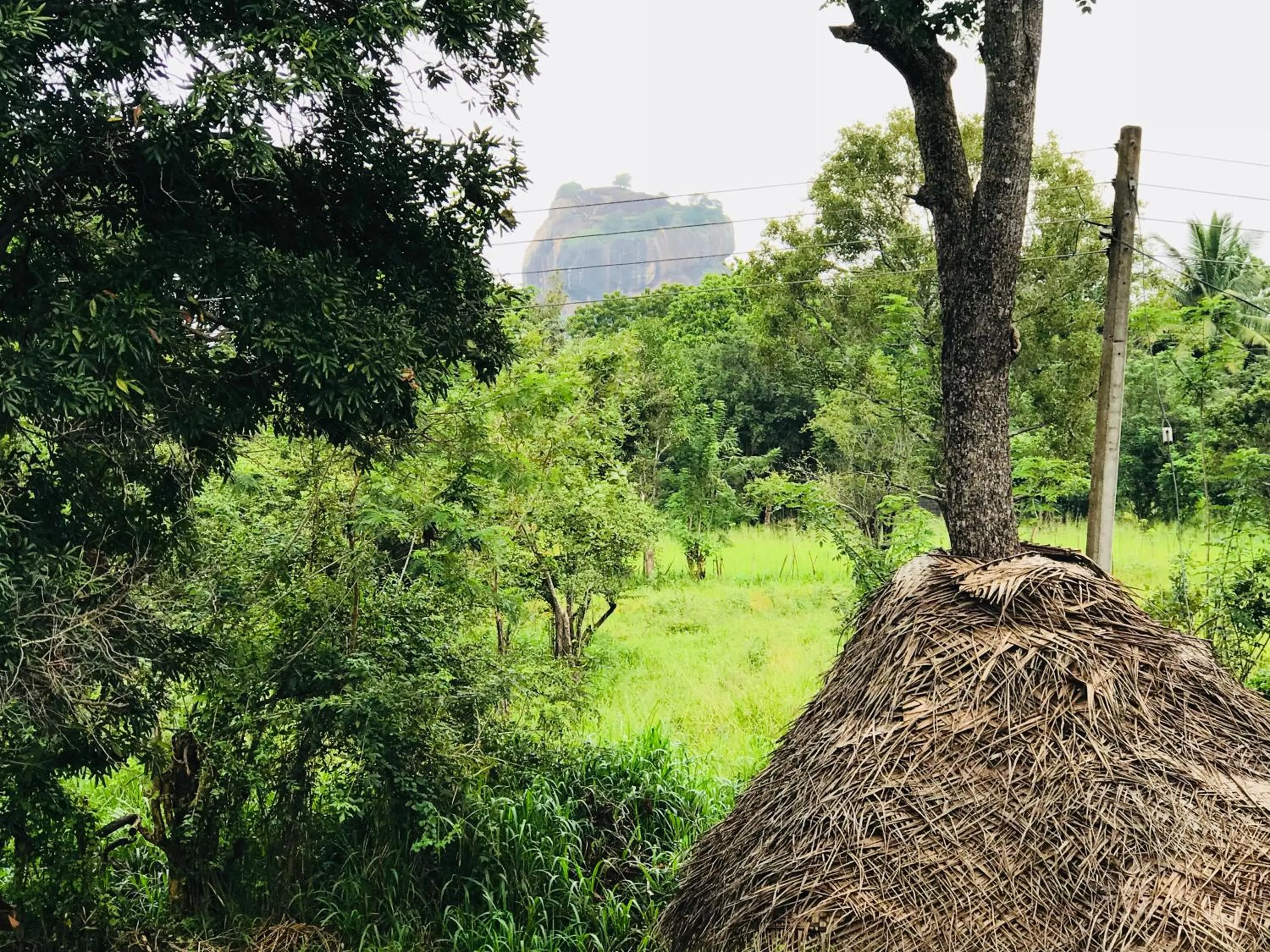 Mountain view in Sigiriya Rock Hide