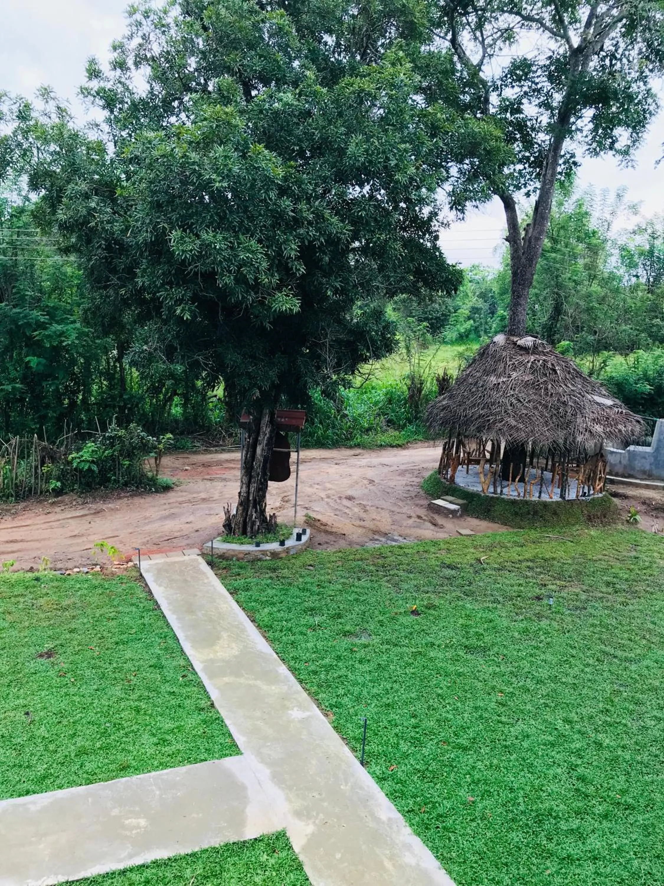 Garden view in Sigiriya Rock Hide