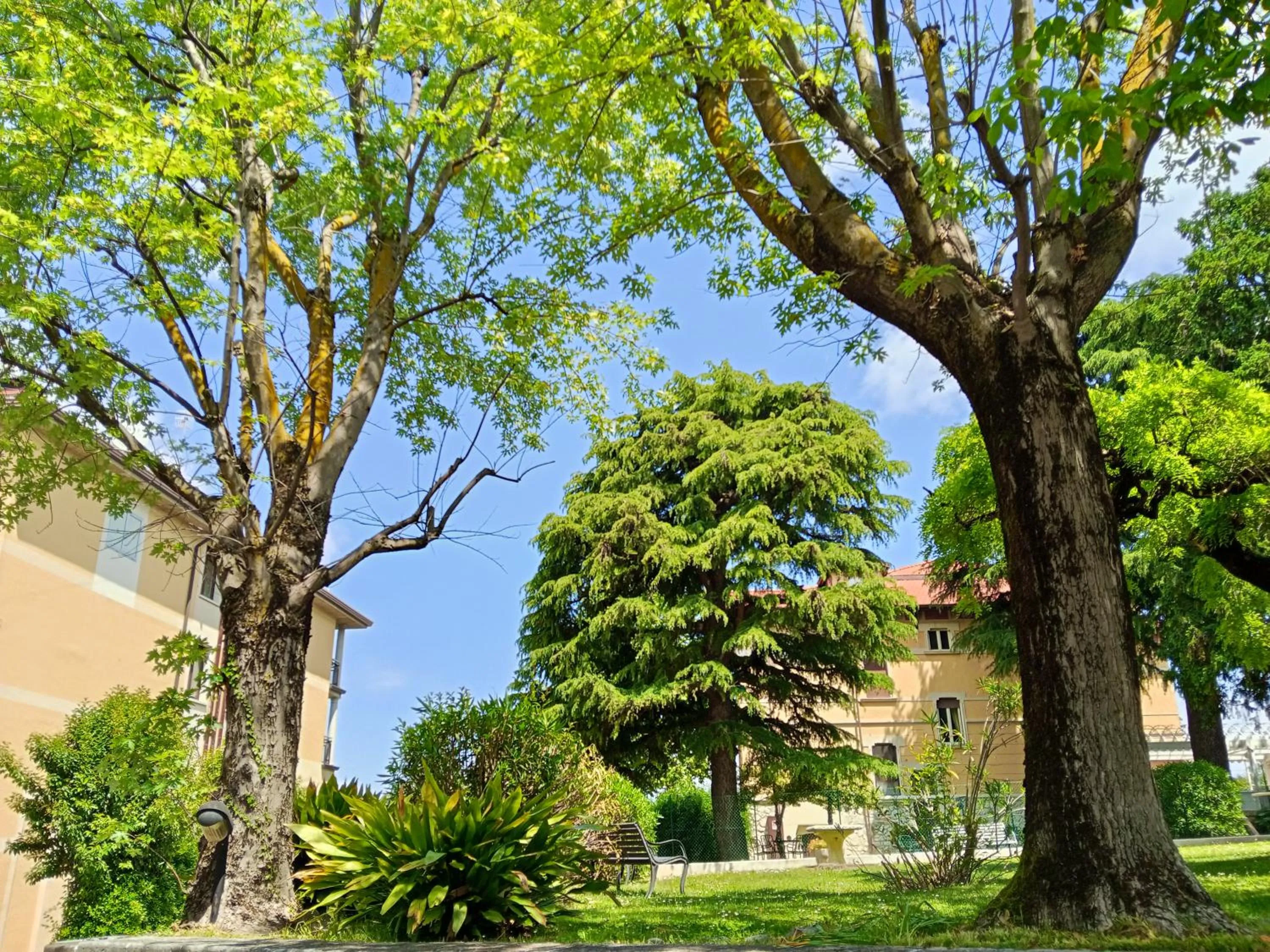 Natural landscape in Hotel Villa Maria
