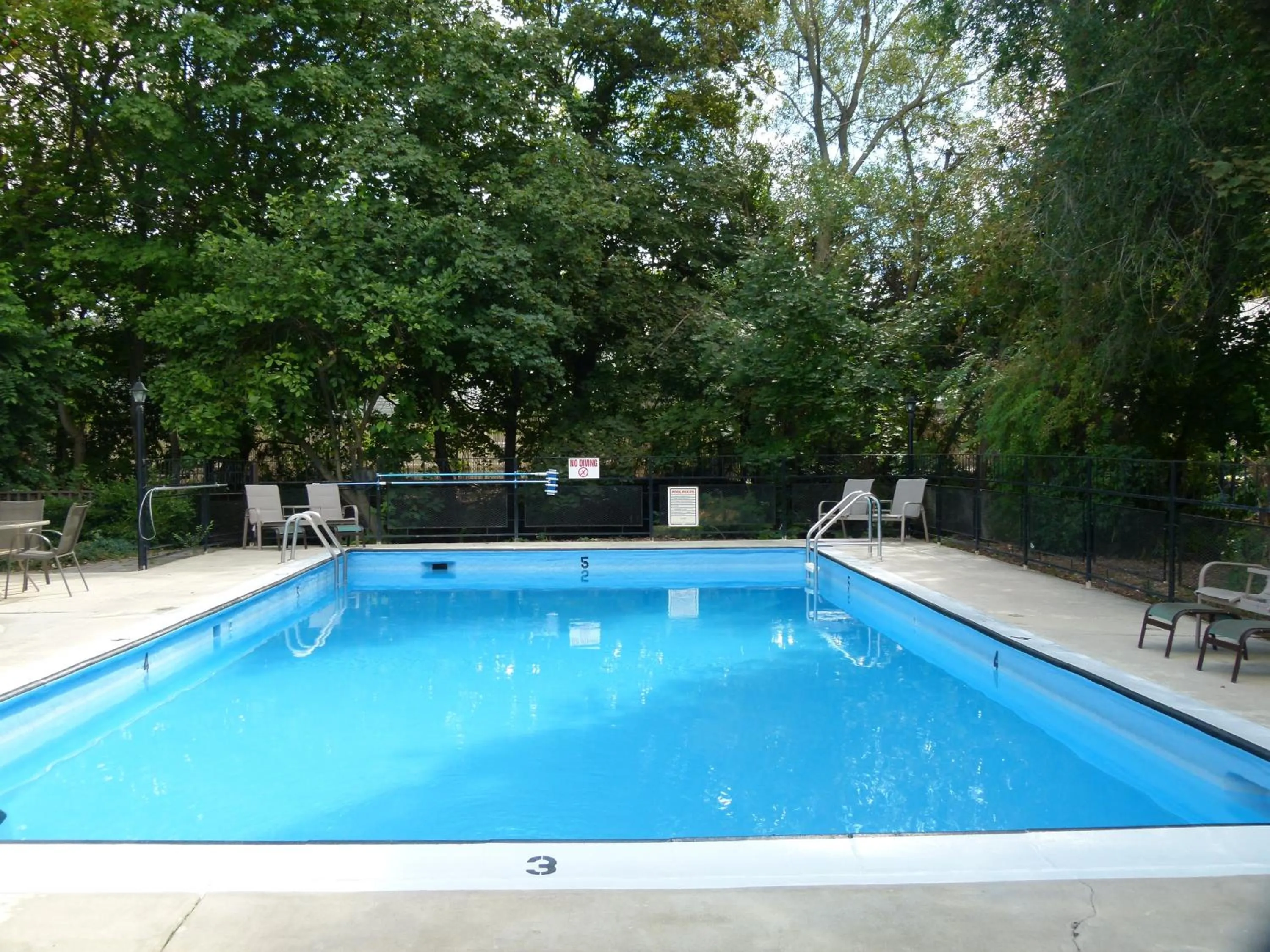 Swimming pool in Schell Motel