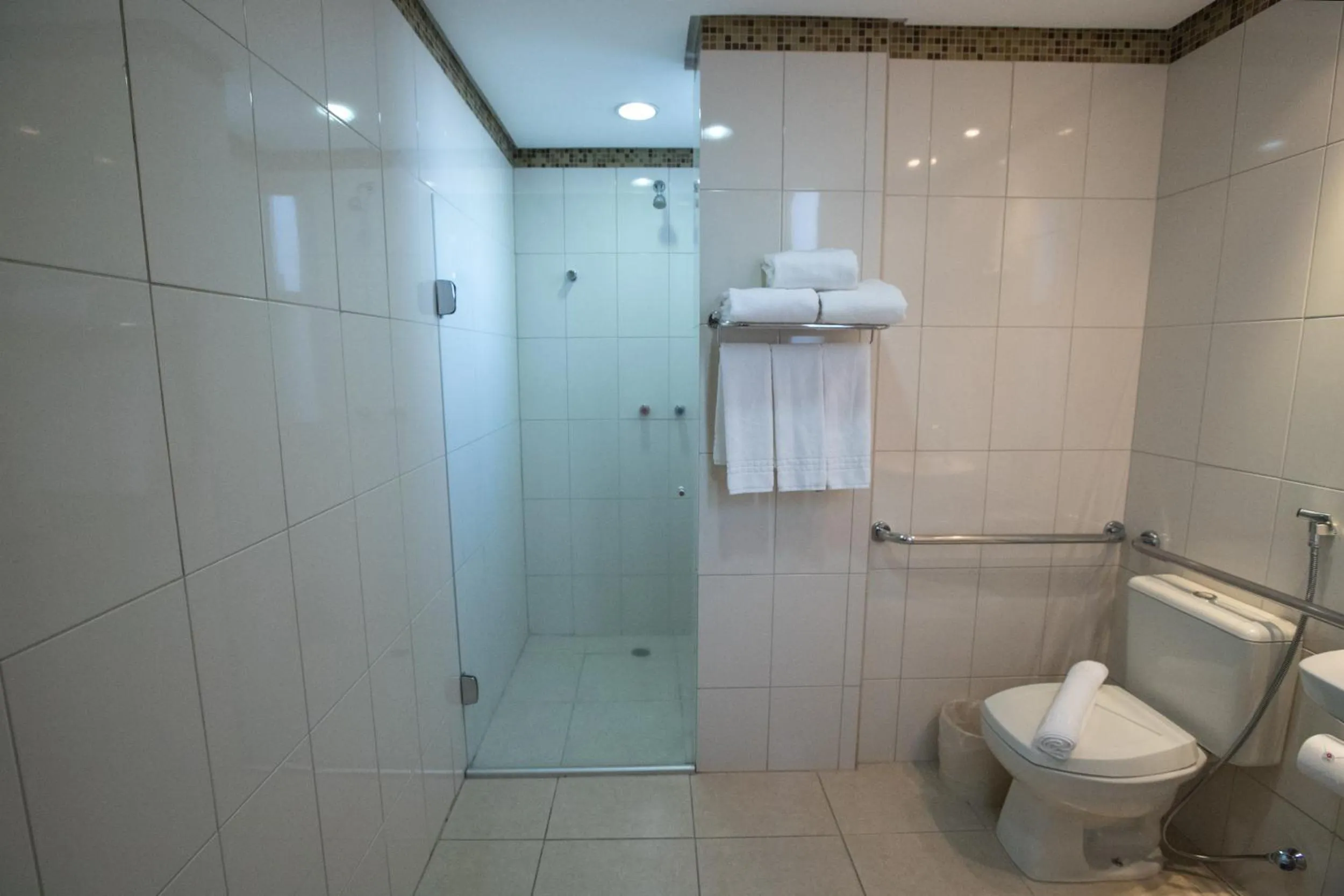 Toilet in Hotel Maione