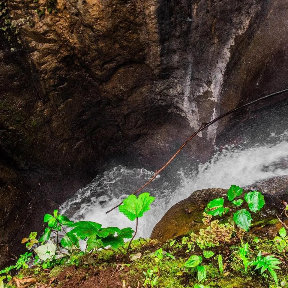 Nearby landmark in Termales Santa Rosa De Cabal