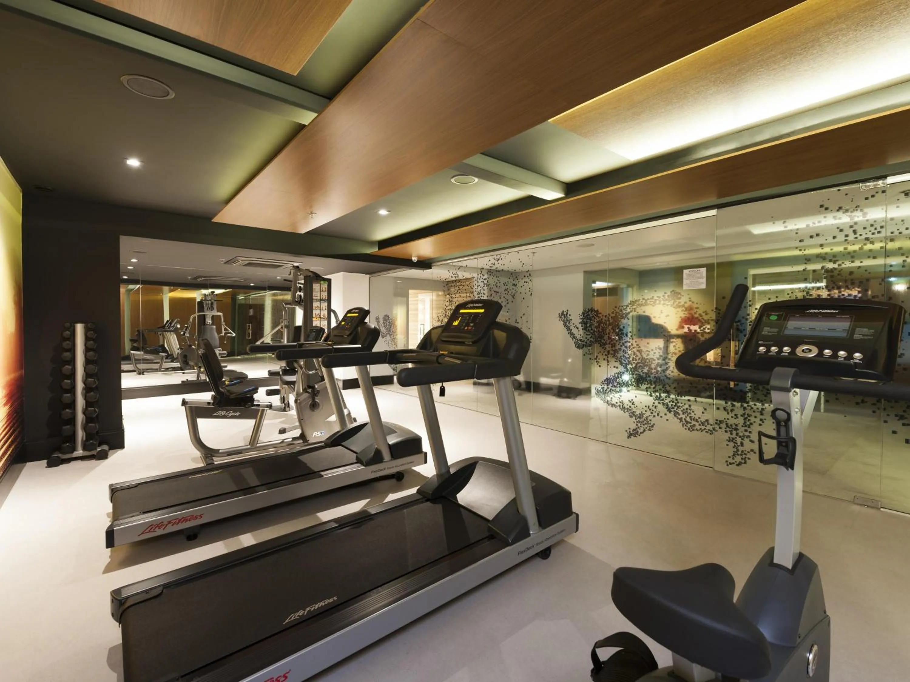 Fitness centre/facilities in Novotel Itajai