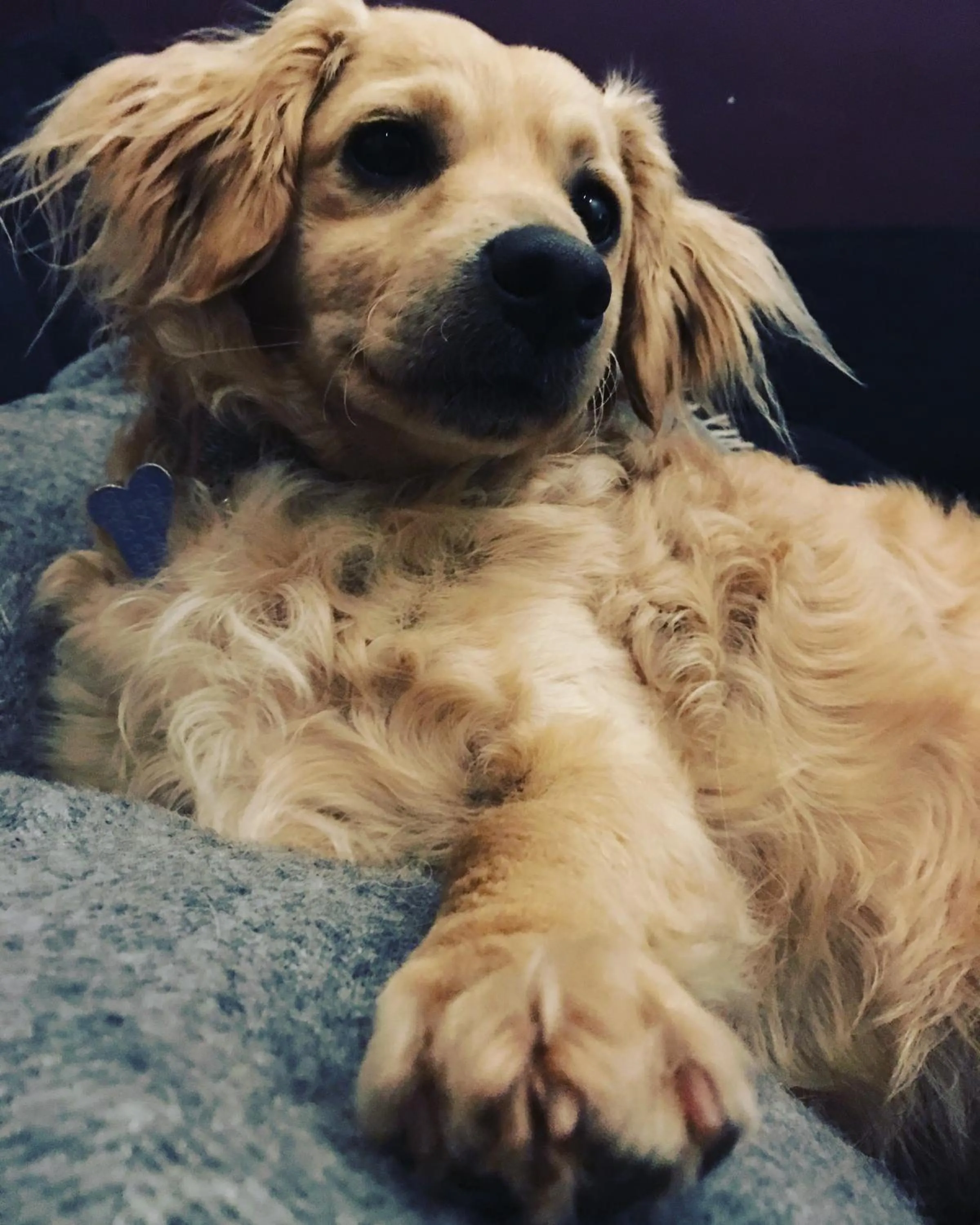 Other in Union Road Moto Velo Accommodation