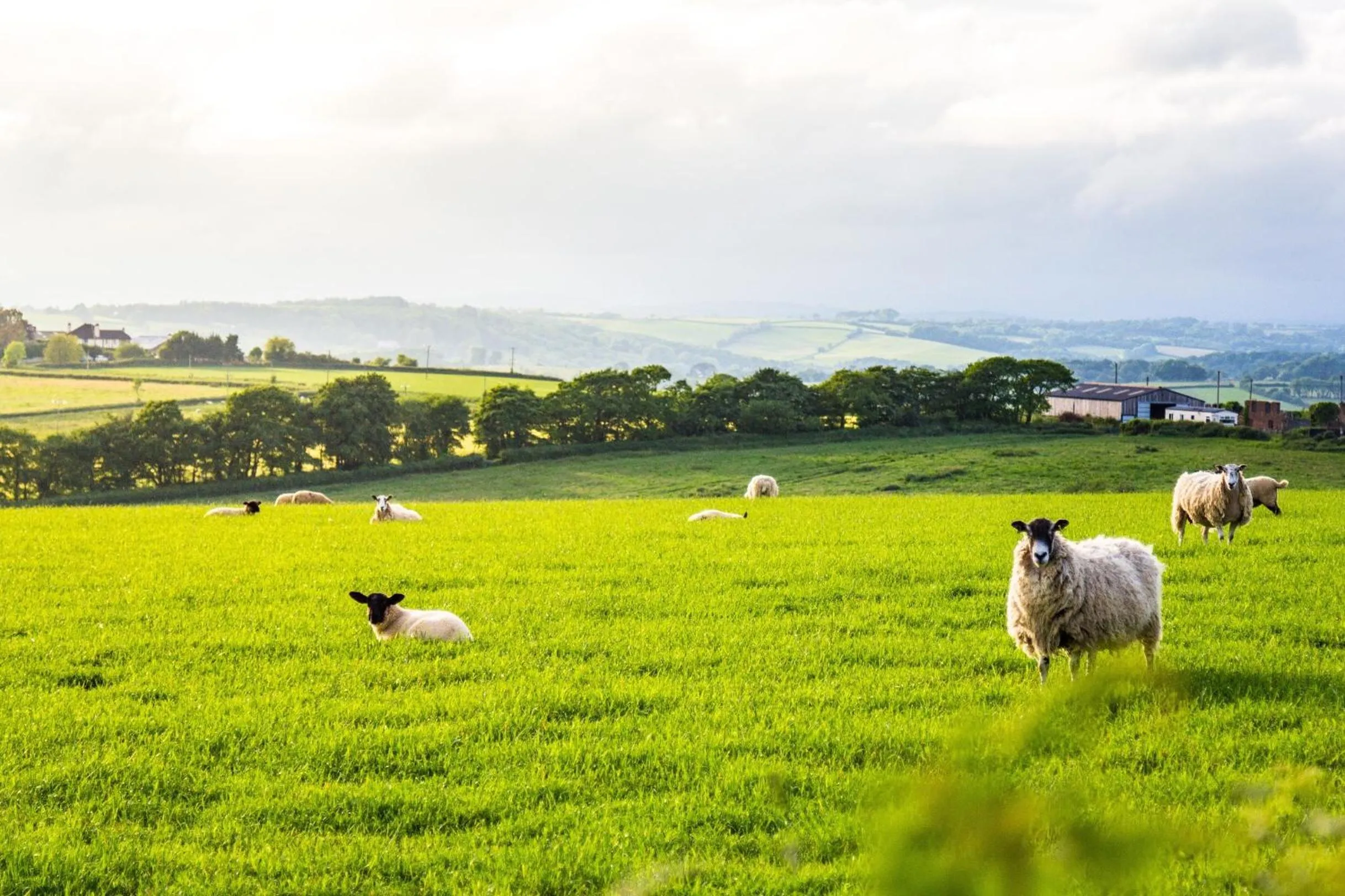 Neighbourhood in Union Road Moto Velo Accommodation