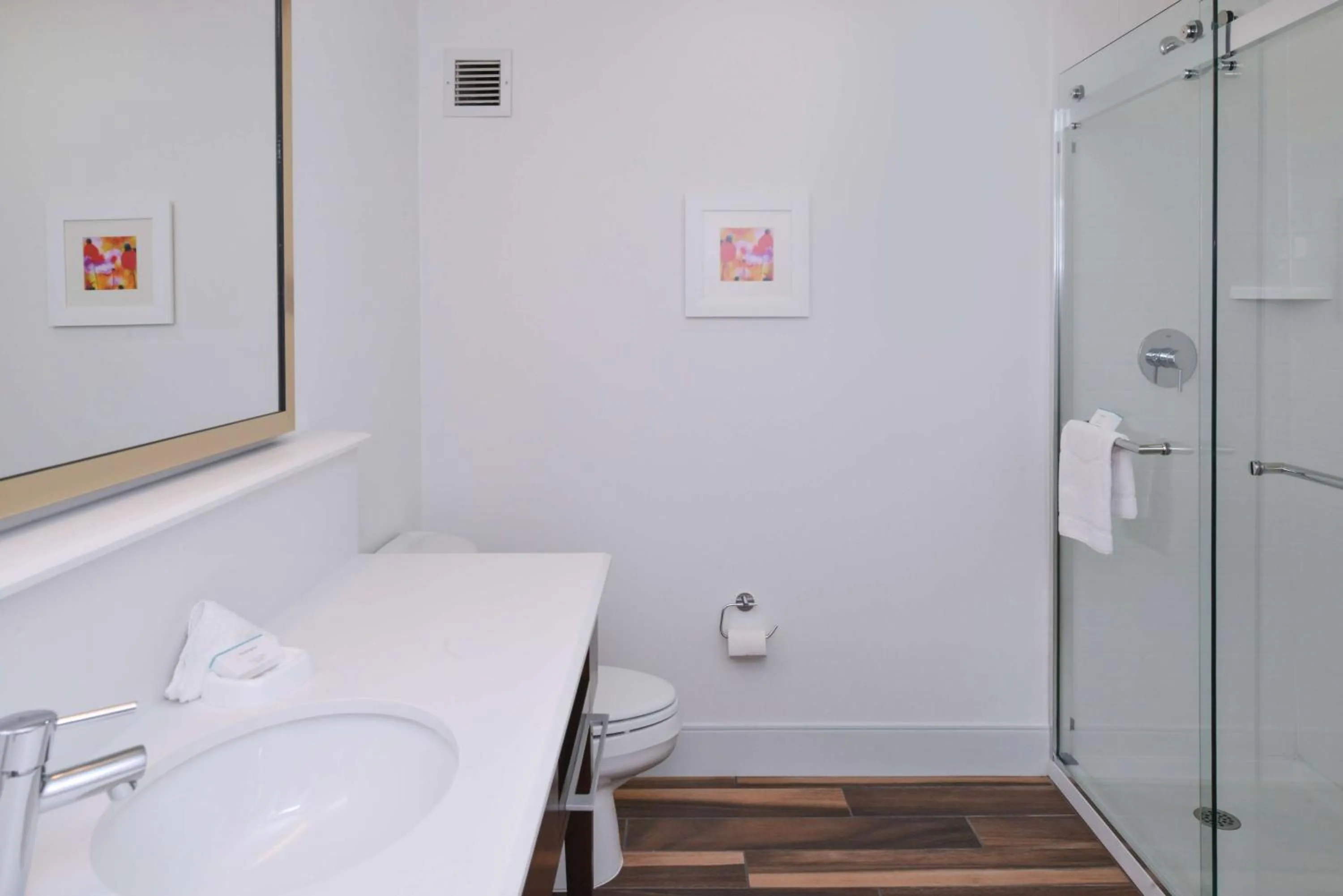 Bathroom in Hampton Inn Carbondale