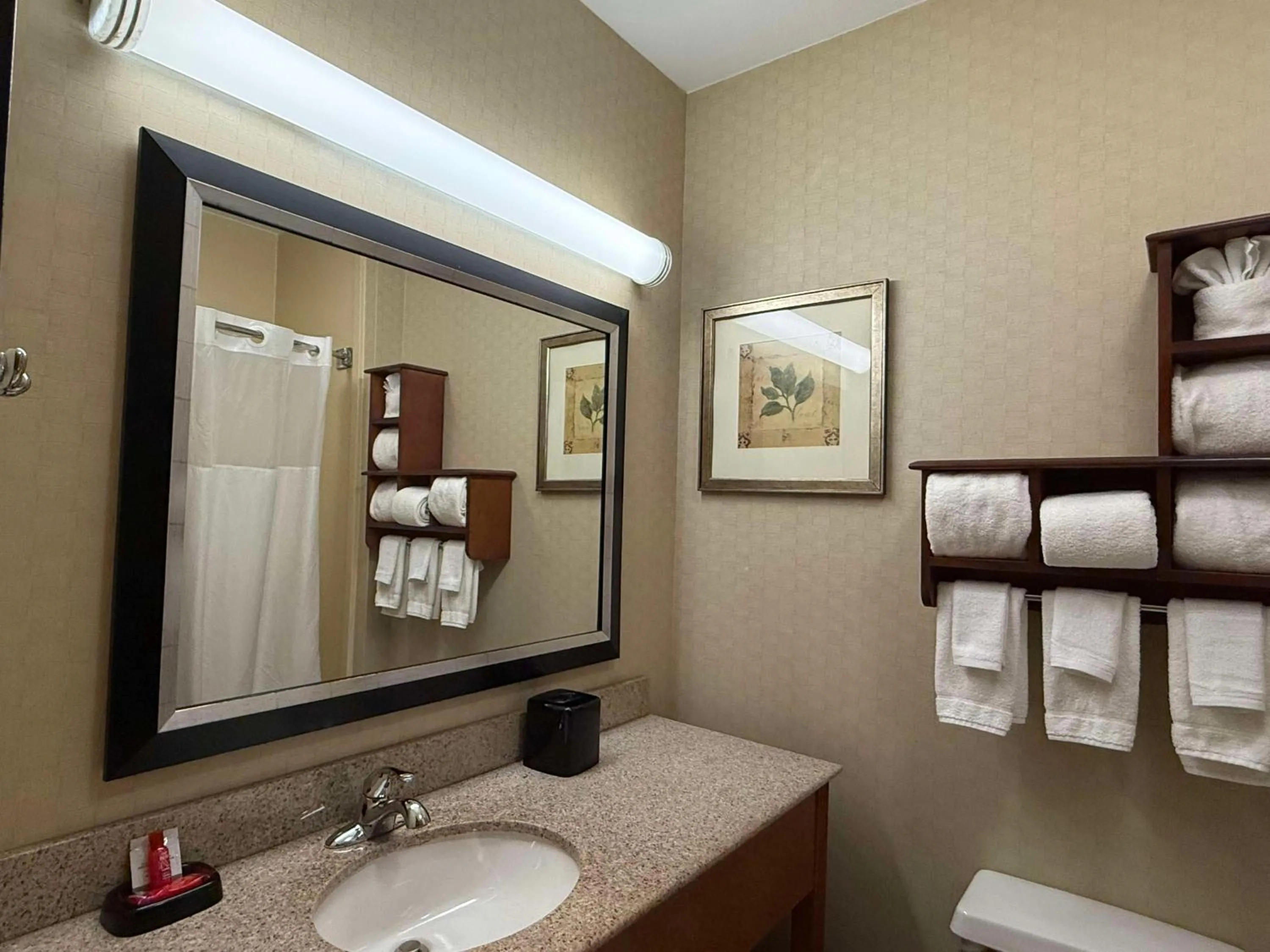 Bathroom in SureStay by Best Western Forsyth Decatur