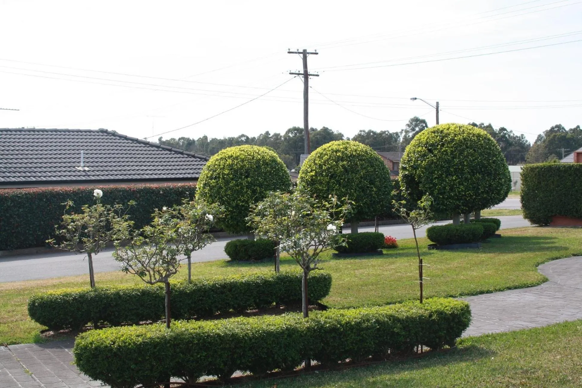 Garden in Hunter Valley Travellers Rest Motel