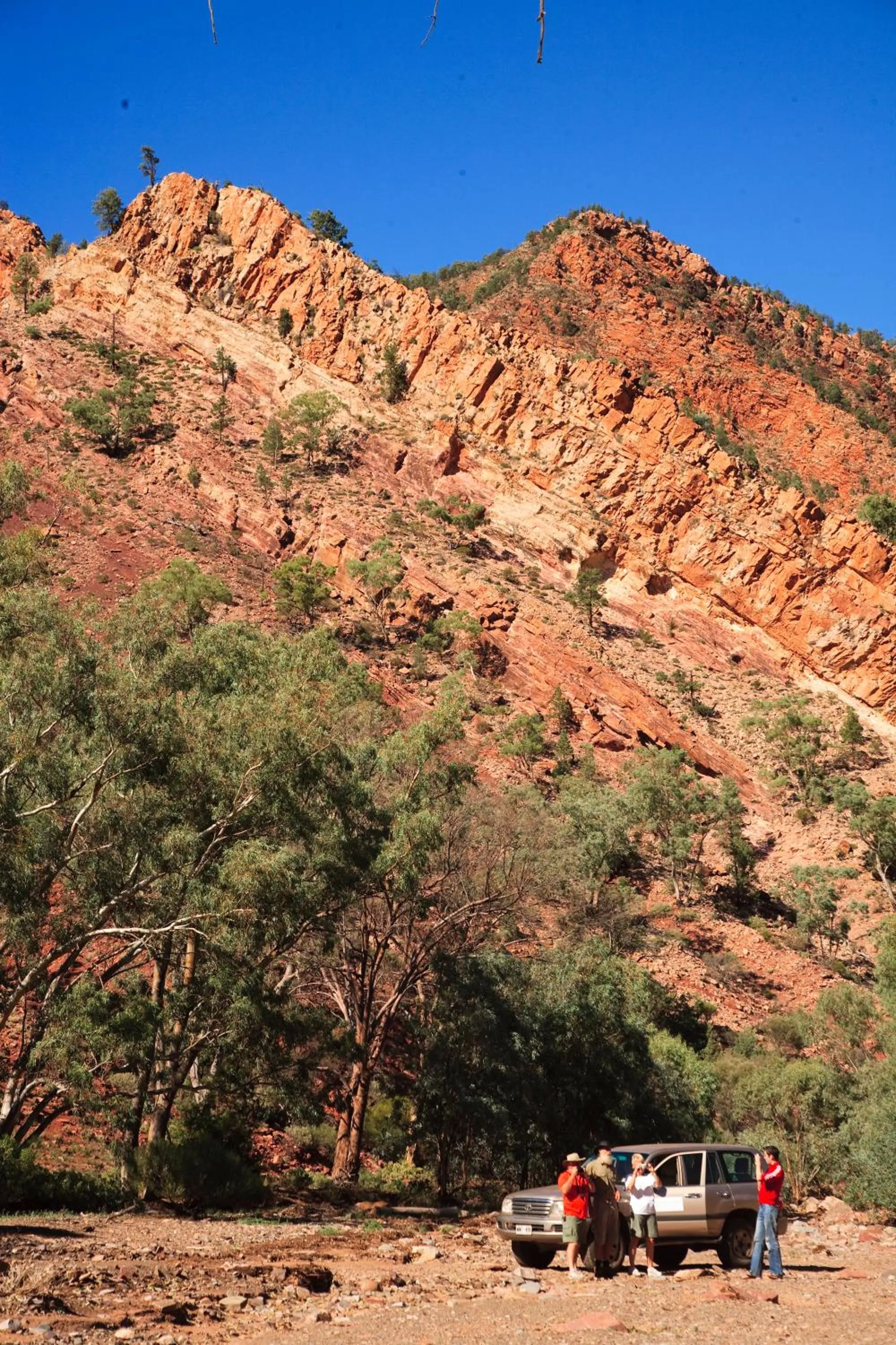 Area and facilities in Discovery Resorts - Wilpena Pound