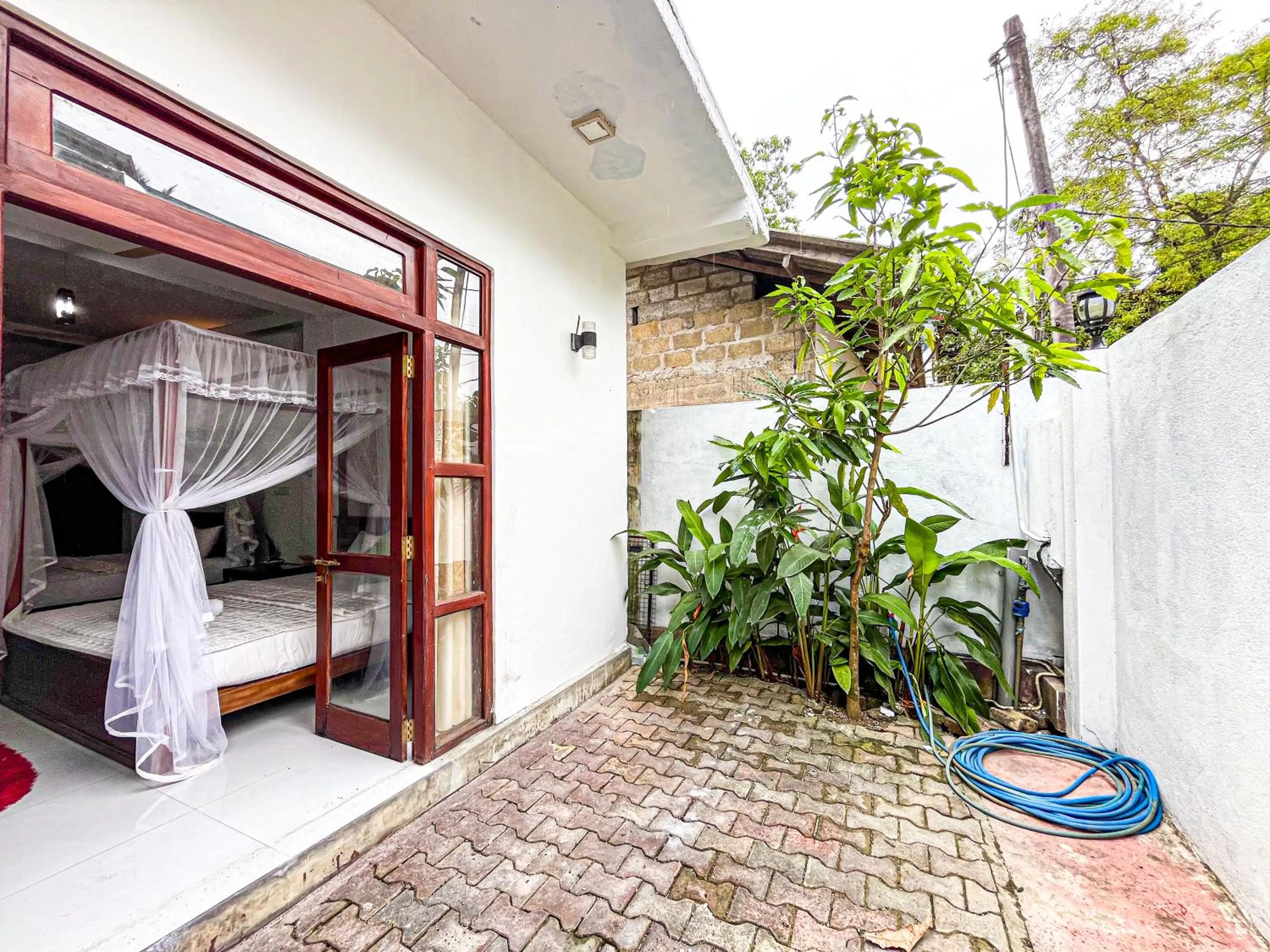 Patio, Bed in Galle Camellia