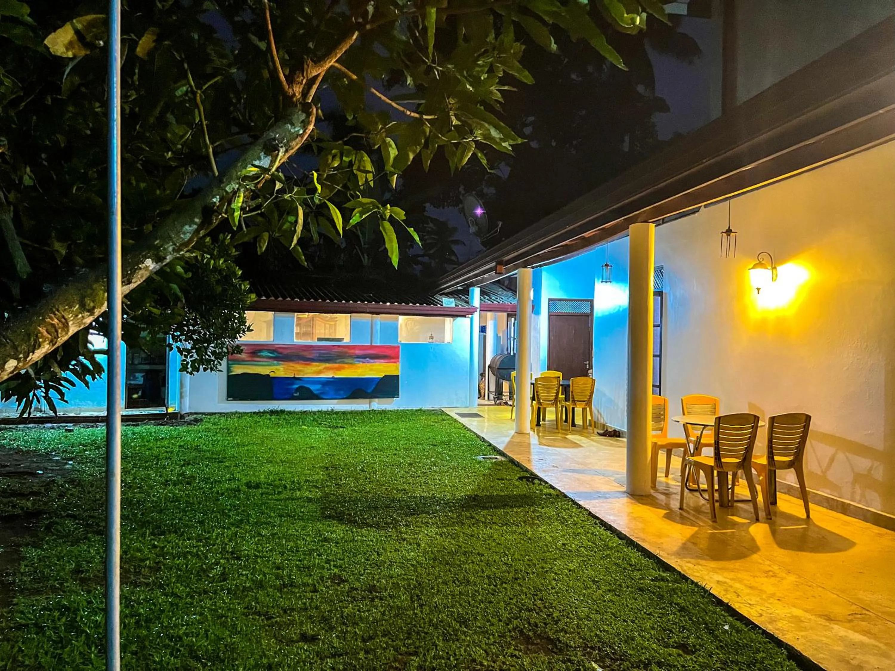 Night in Galle Camellia