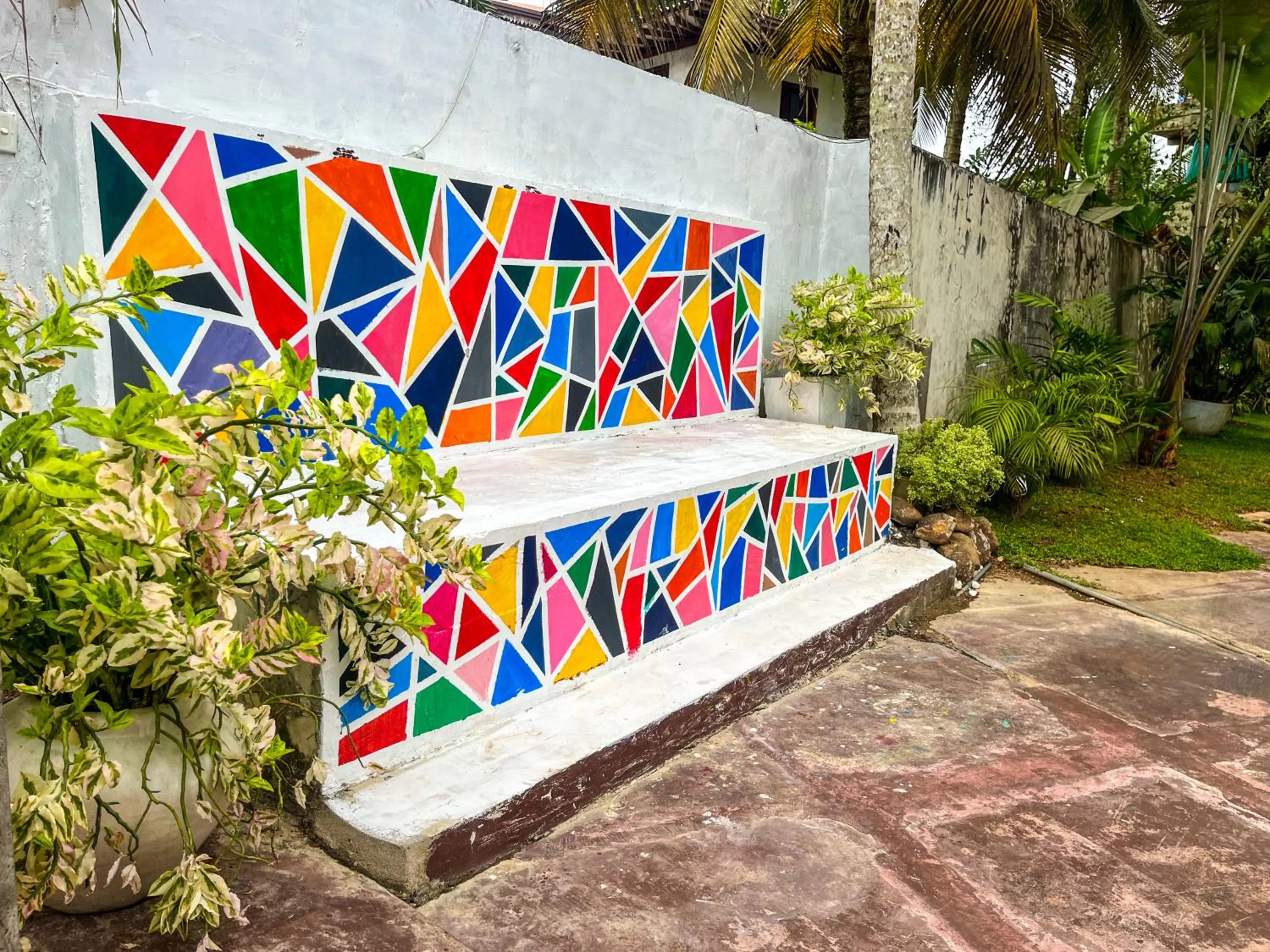 Day in Galle Camellia