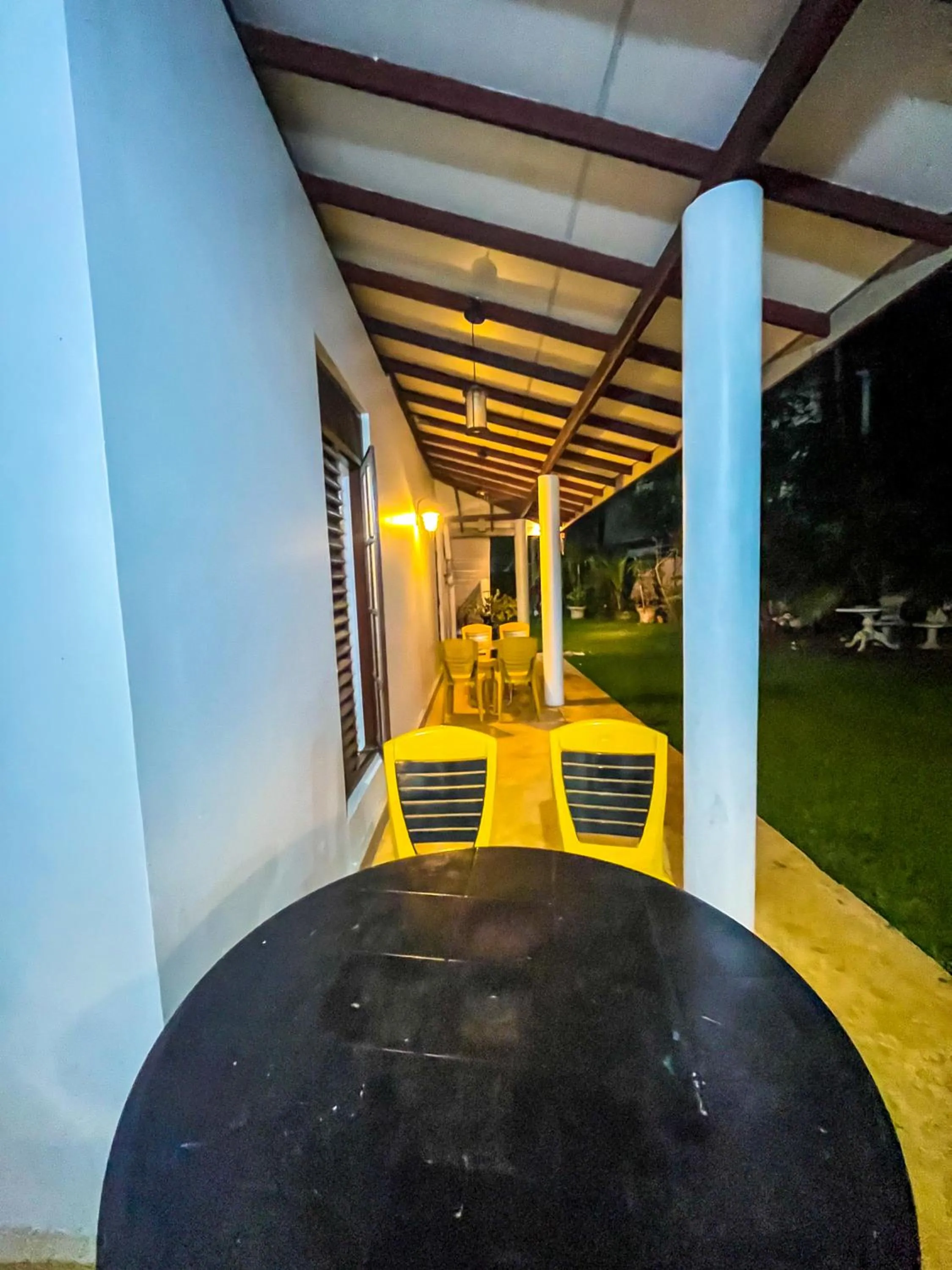 Night in Galle Camellia